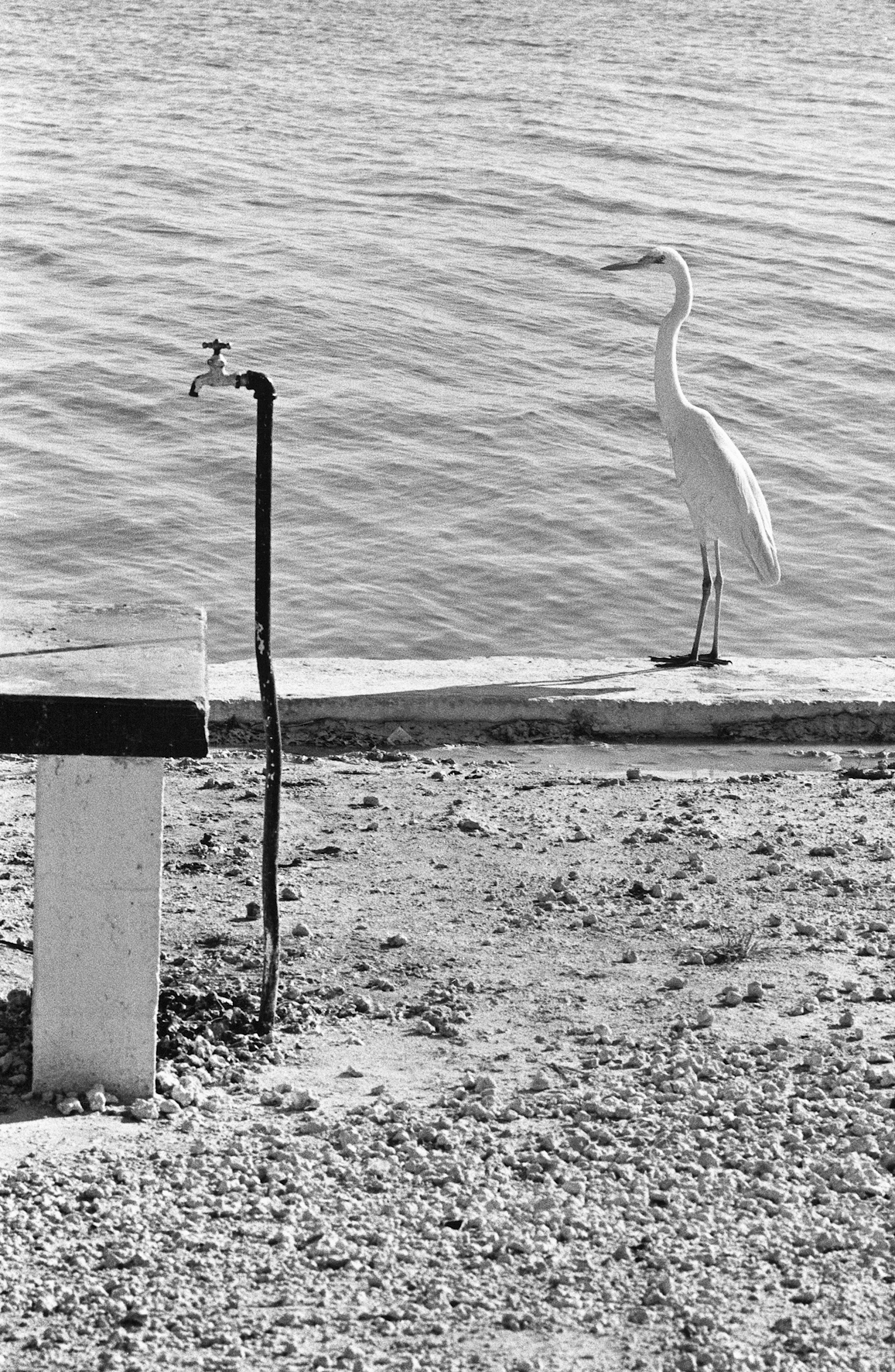 9783961716326_innenansicht_05 9783961716326_innenansicht_05.jpg