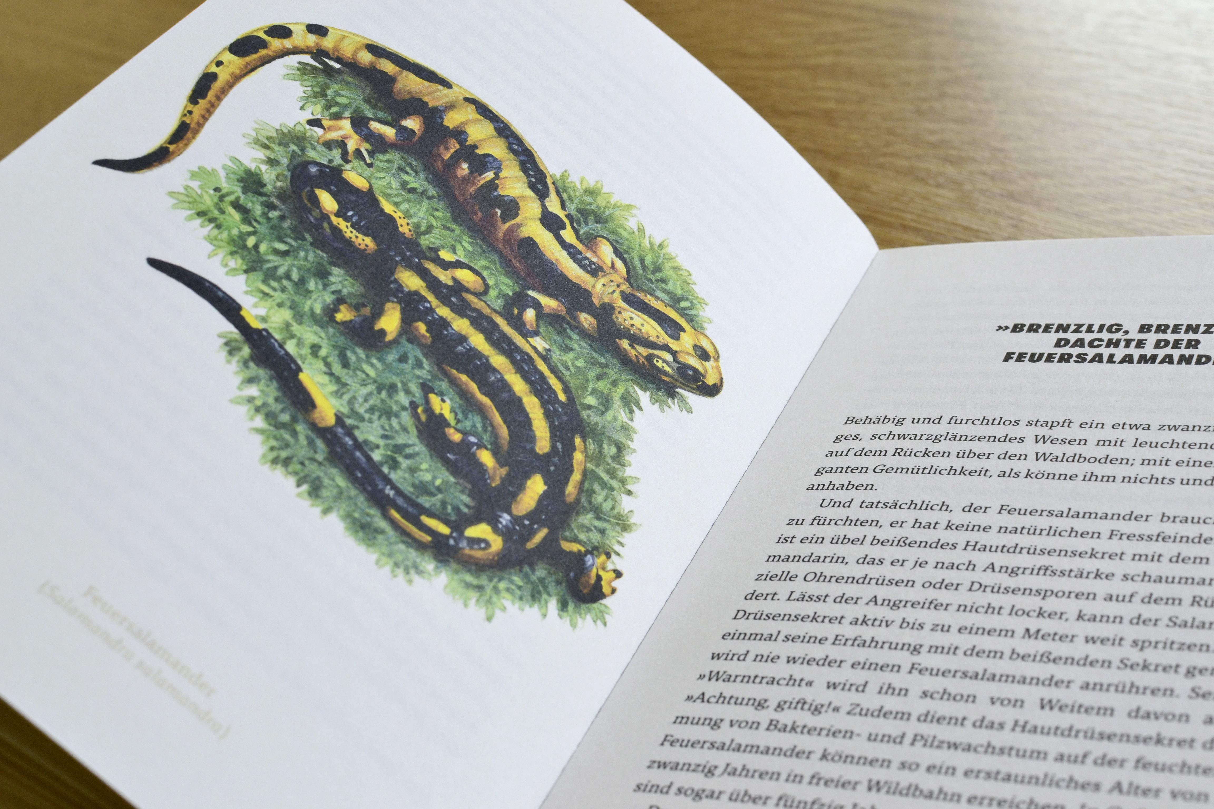 9783847900658_innenansicht_03.jpg 9783847900658_innenansicht_03.jpg