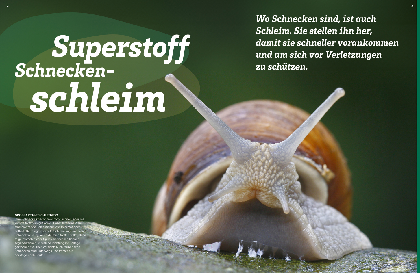 9783788681906_innenansicht_01.jpg