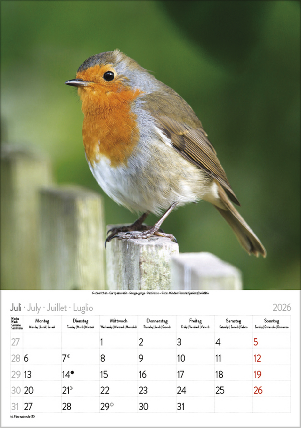 9783731883647_innenansicht_07 9783731883647_innenansicht_07.jpg