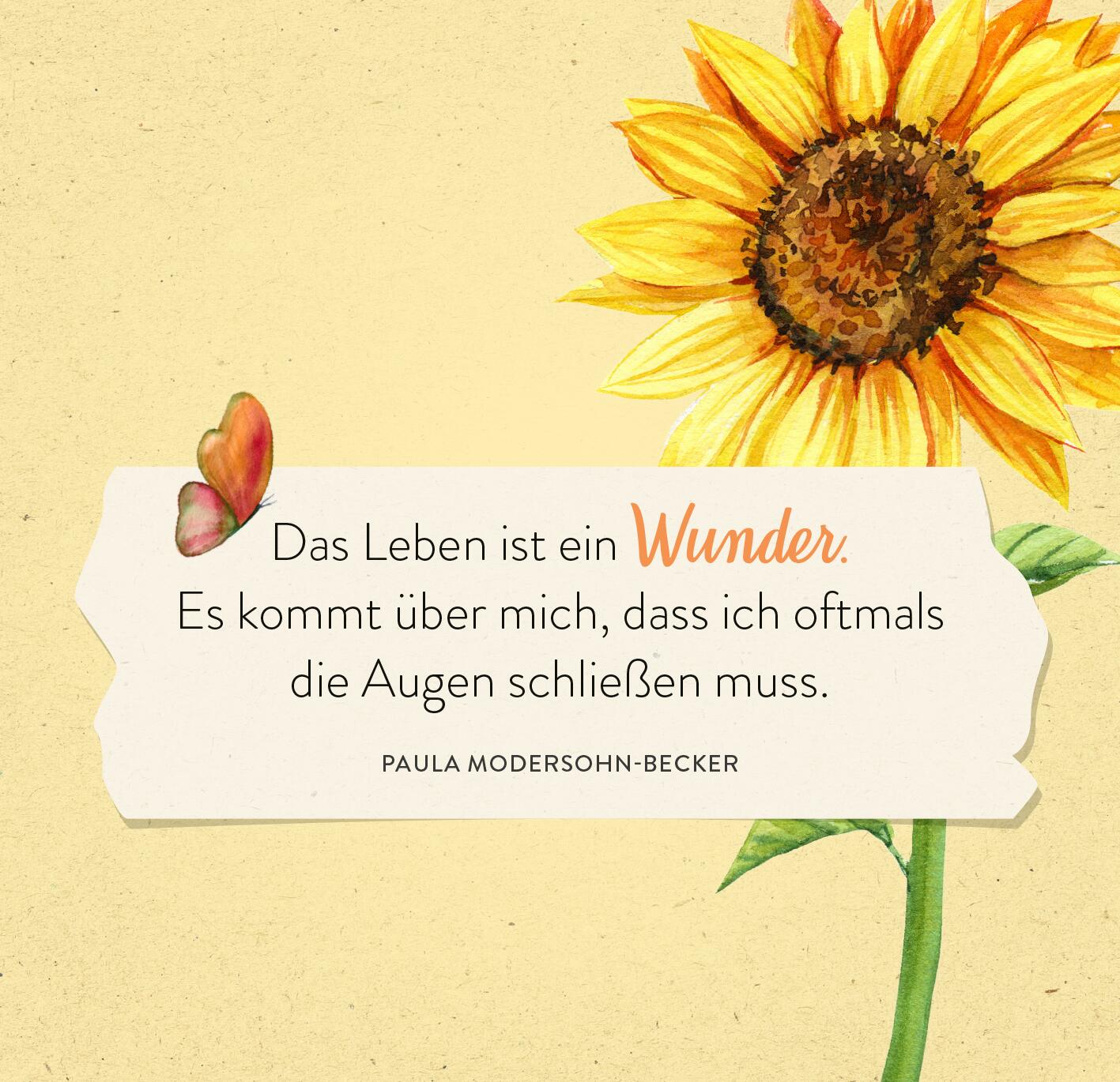 9783845862620_innenansicht_03.jpg