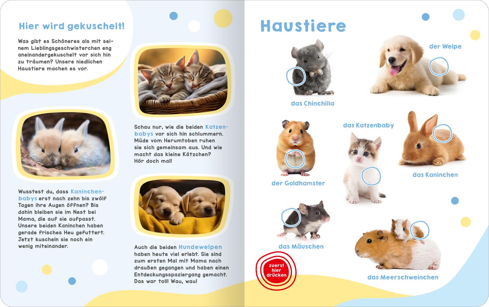 9783845860985_innenansicht_01 9783845860985_innenansicht_01.jpg