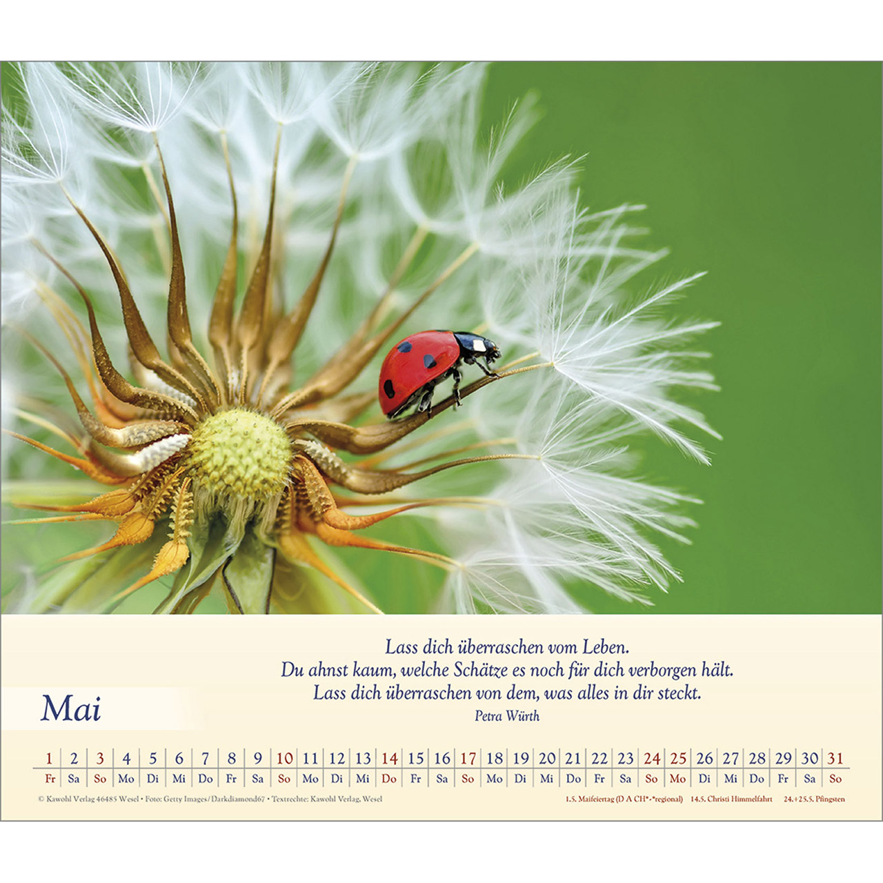 9783754864562_innenansicht_05 9783754864562_innenansicht_05.jpg