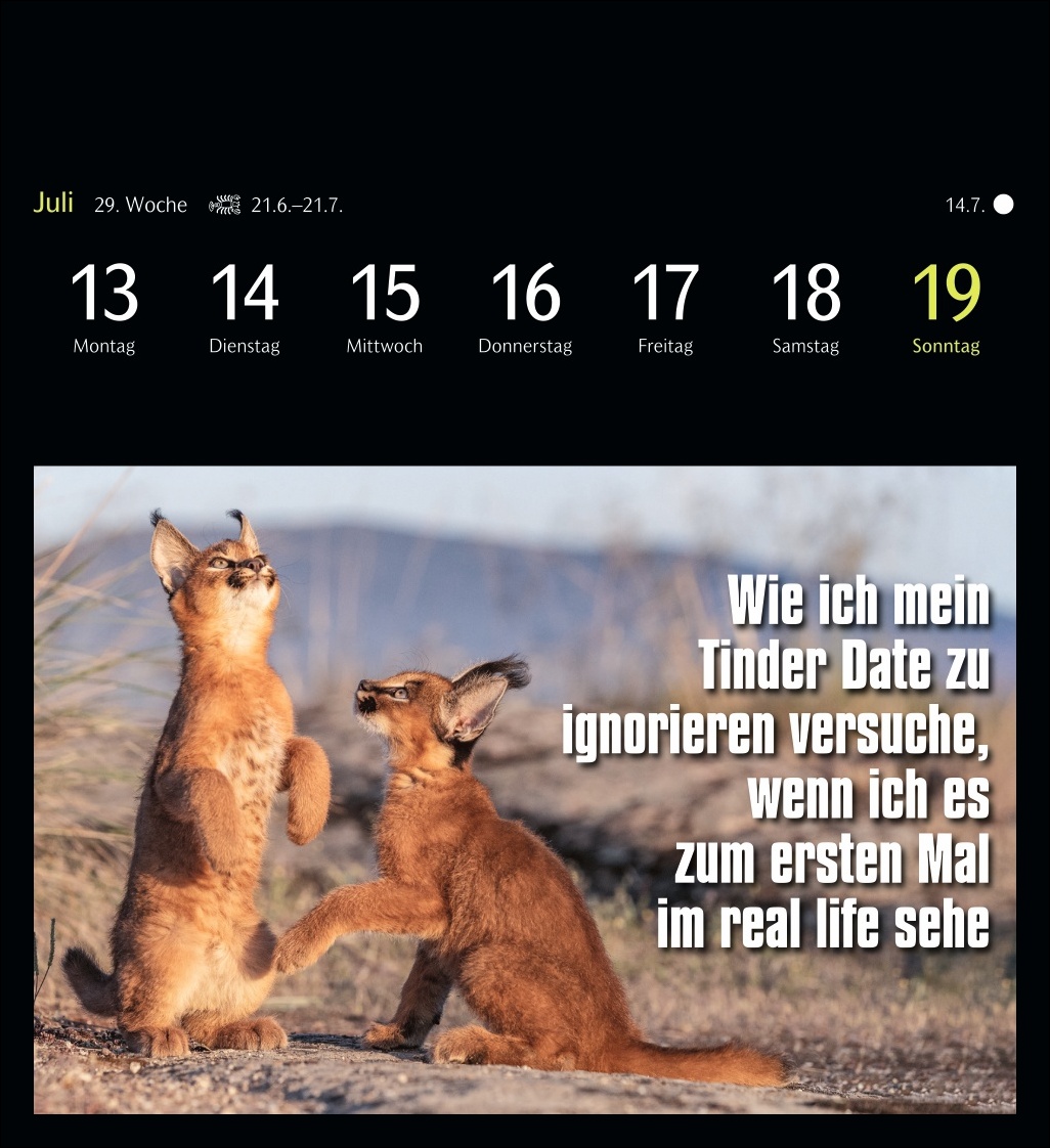 9783840037467_innenansicht_10.jpg