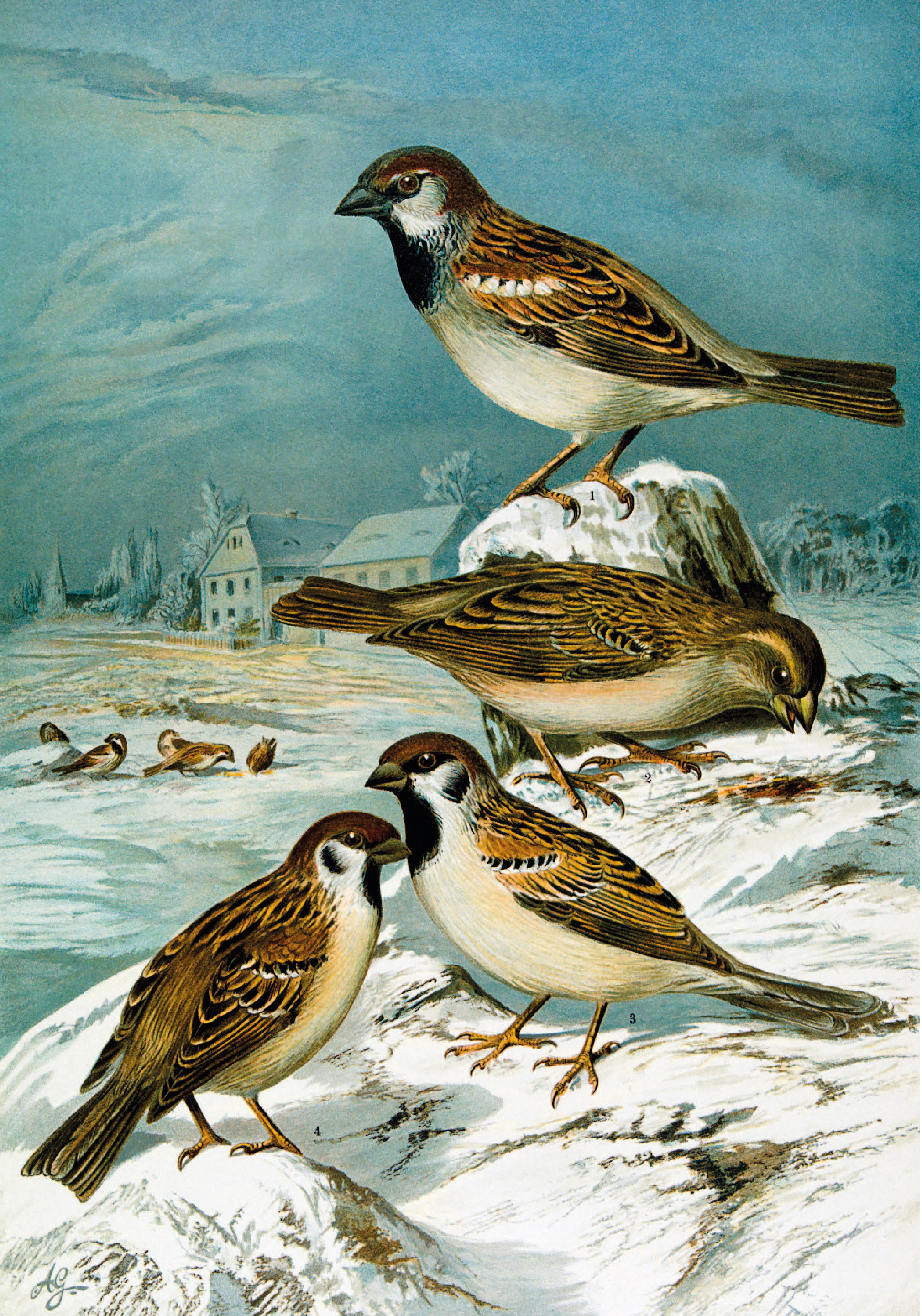 9783968492001_innenansicht_03 9783968492001_innenansicht_03.jpg