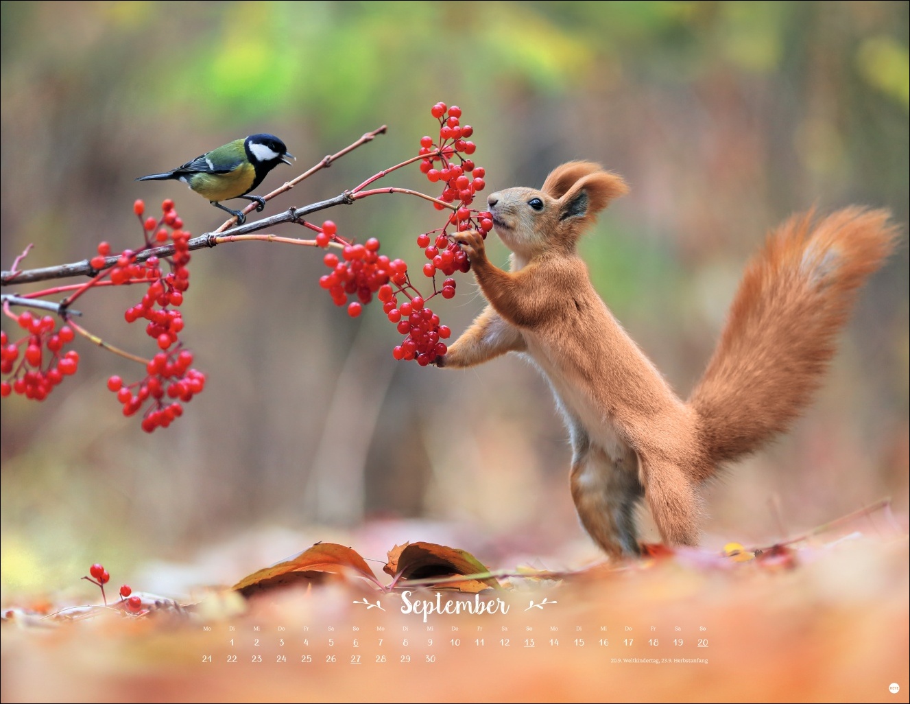 9783756411672_innenansicht_09 9783756411672_innenansicht_09.jpg