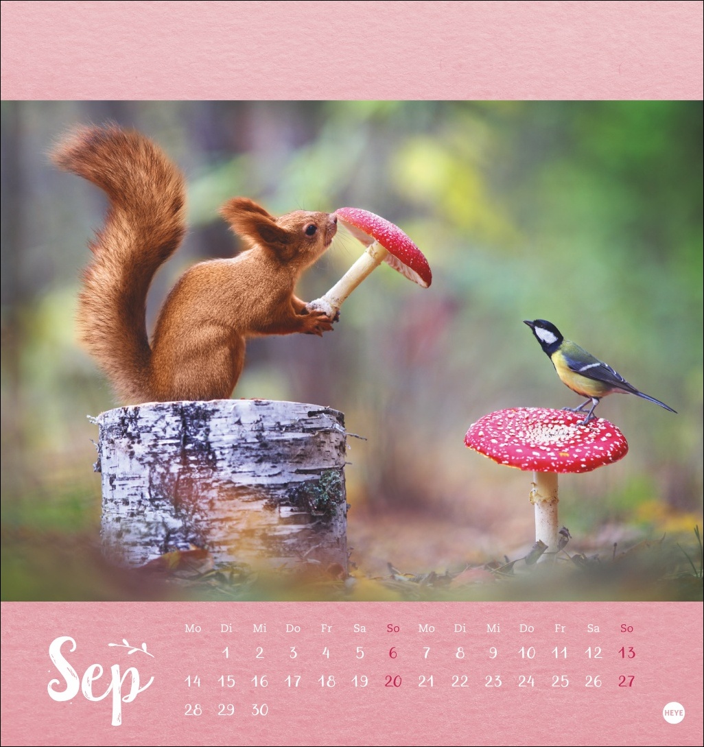 9783756411689_innenansicht_09 9783756411689_innenansicht_09.jpg