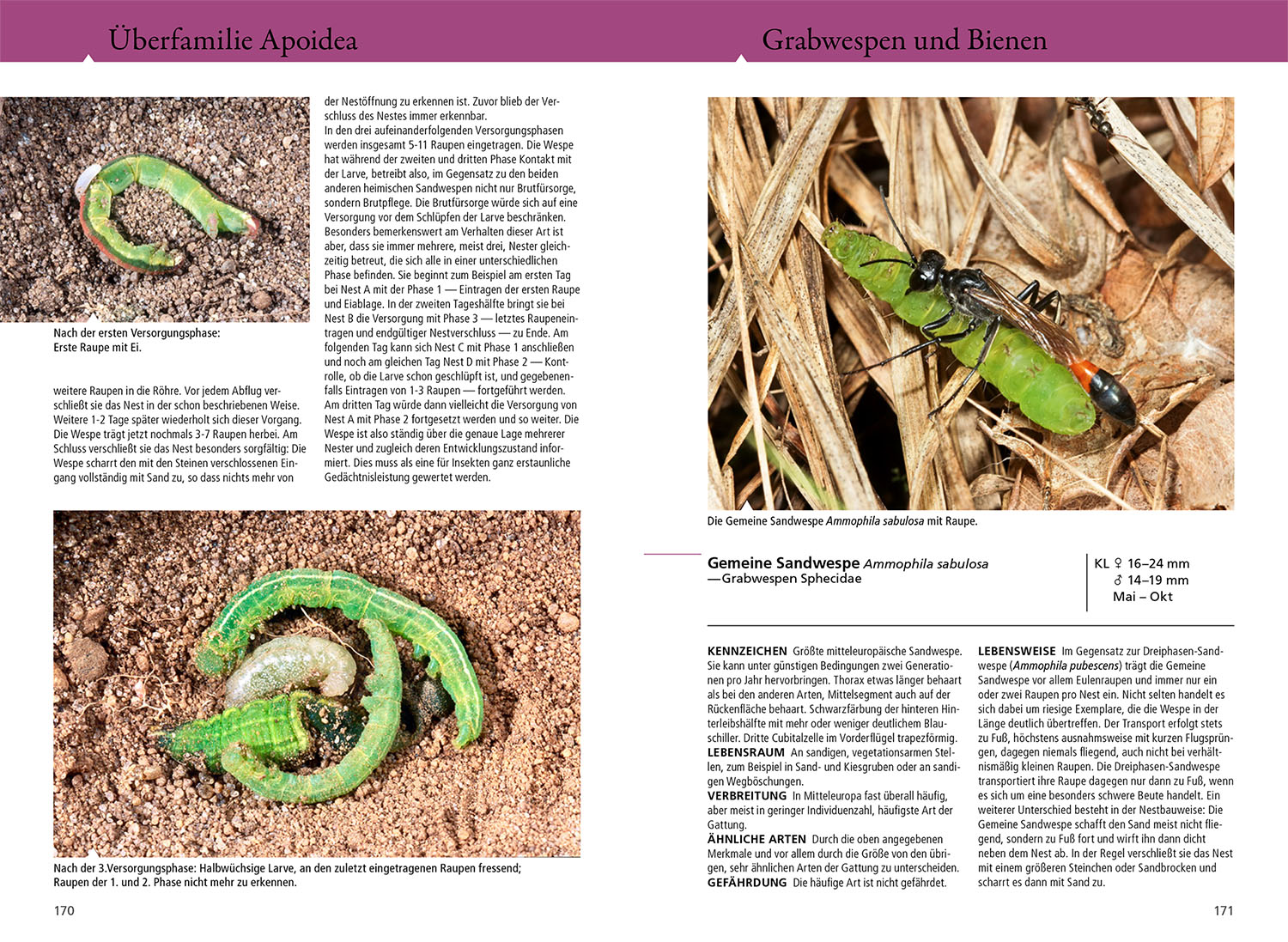 9783440179826_innenansicht_03 9783440179826_innenansicht_03.jpg