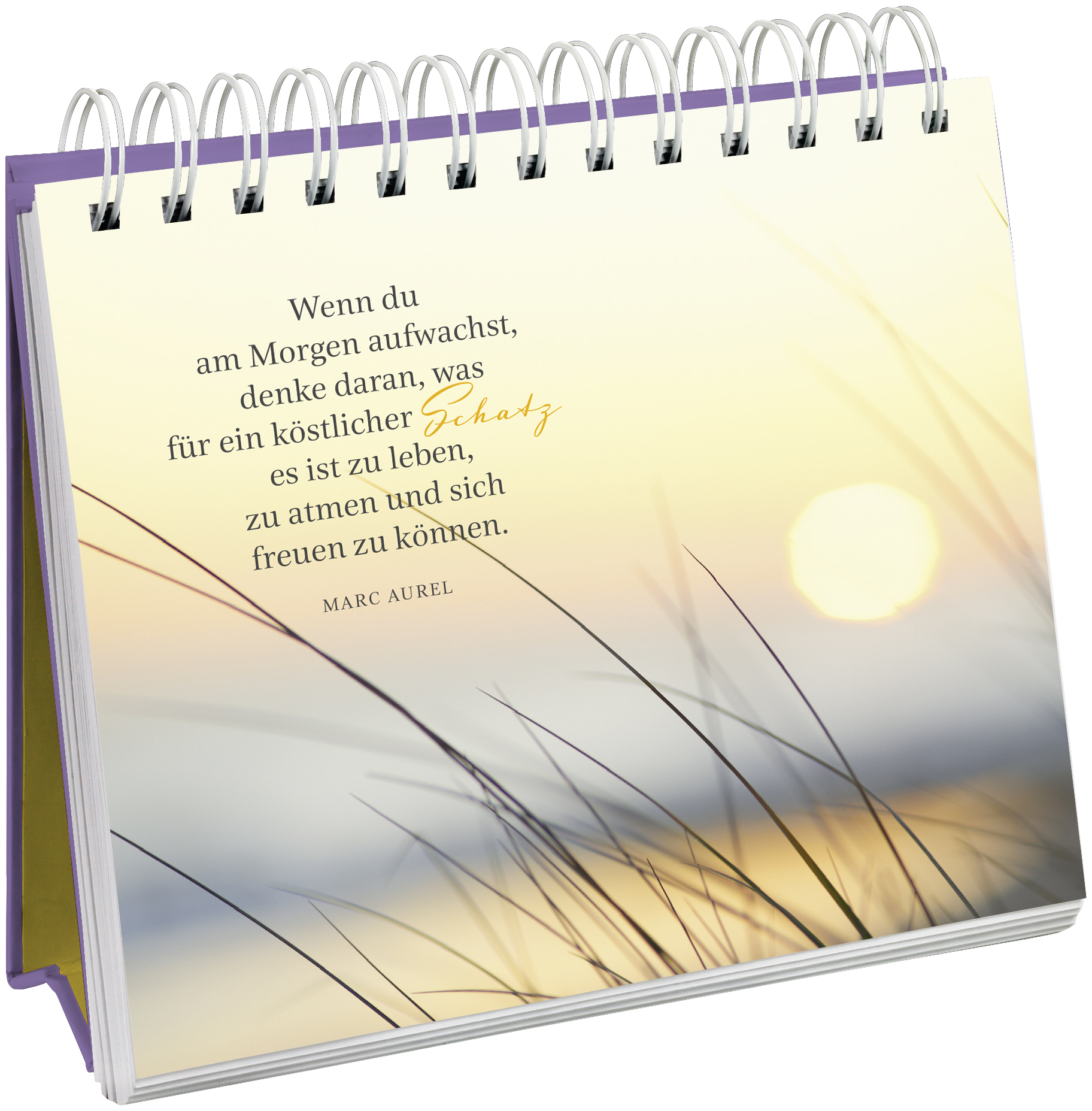 9783848514533_innenansicht_01.jpg