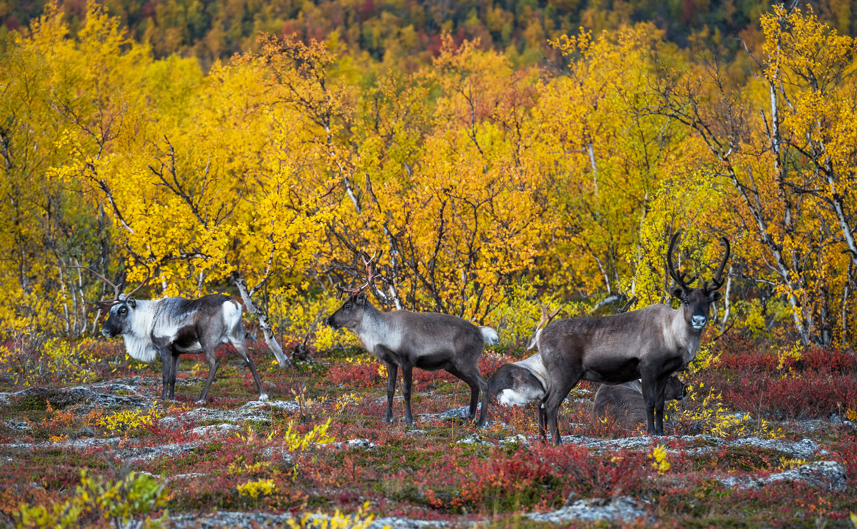 9783734331831_innenansicht_09 9783734331831_innenansicht_09.jpg