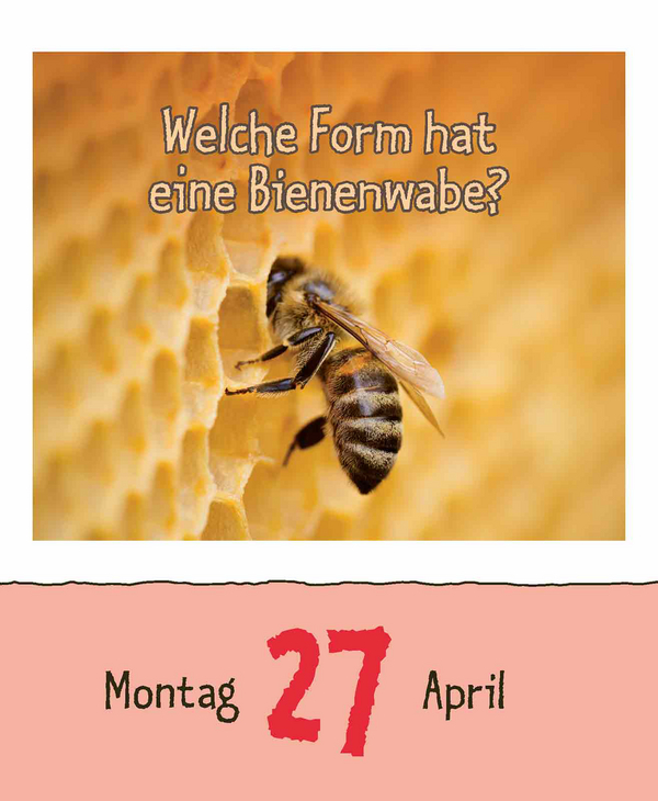 9783731886976_innenansicht_07.jpg