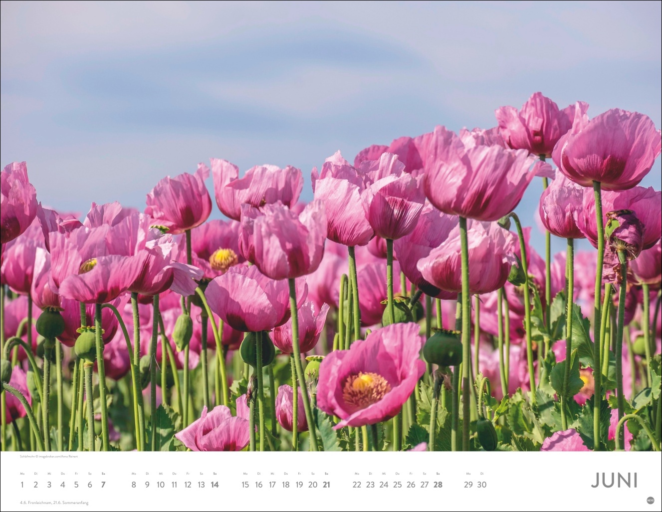 9783756414116_innenansicht_06 9783756414116_innenansicht_06.jpg