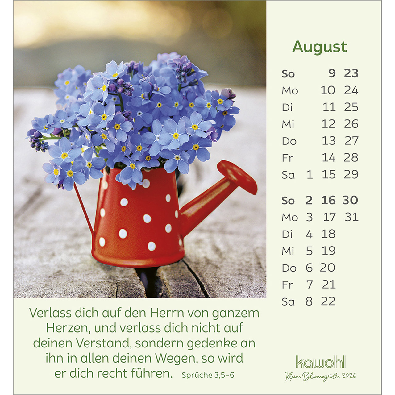 9783754847060_innenansicht_08.jpg
