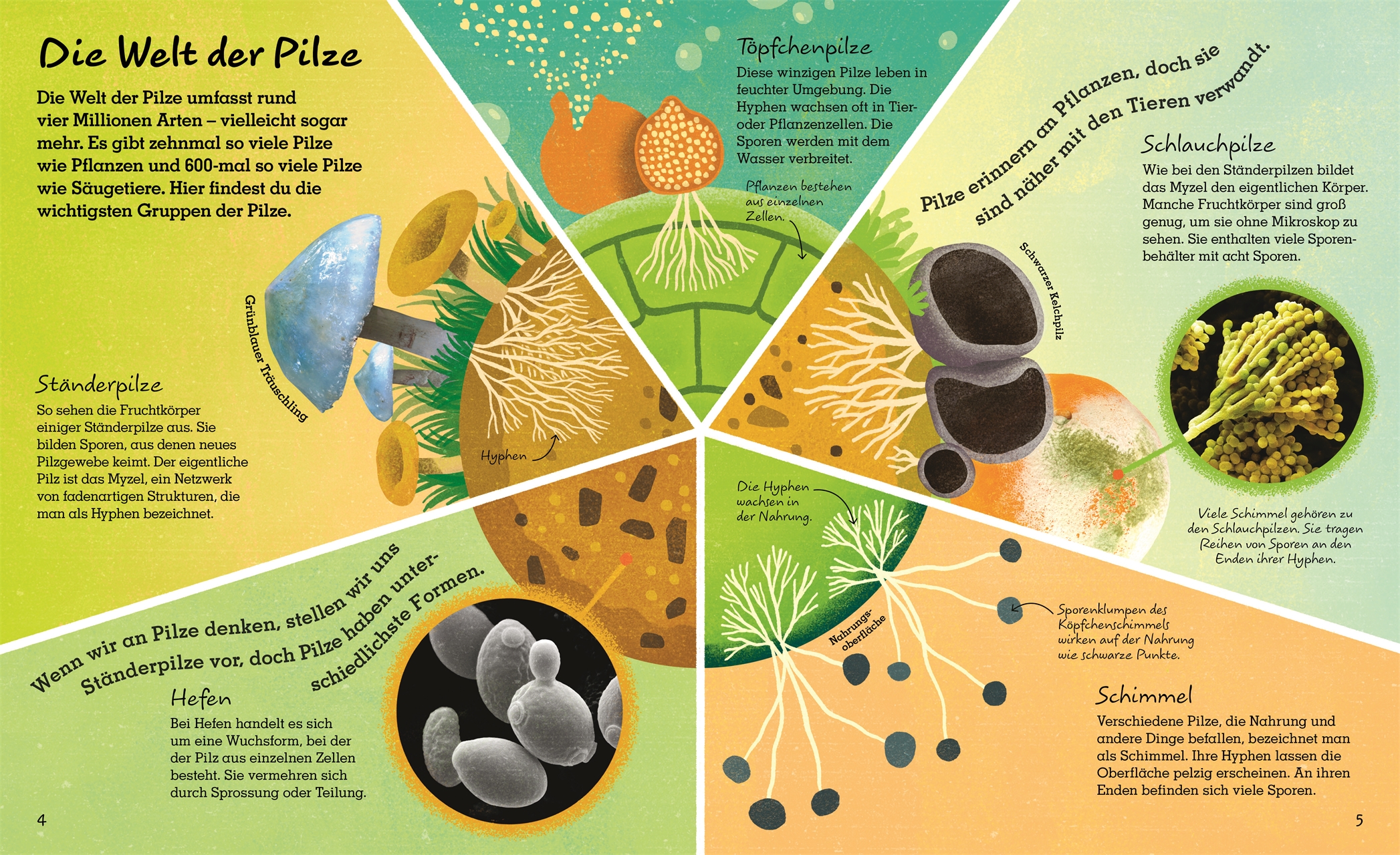 9783831044443_innenansicht_02 9783831044443_innenansicht_02.jpg