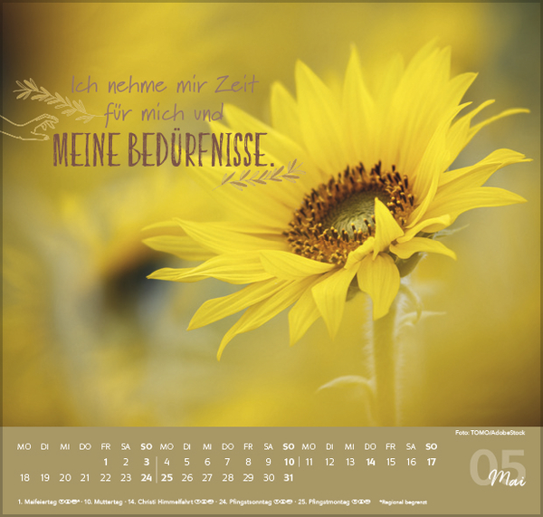 9783731888499_innenansicht_05.jpg