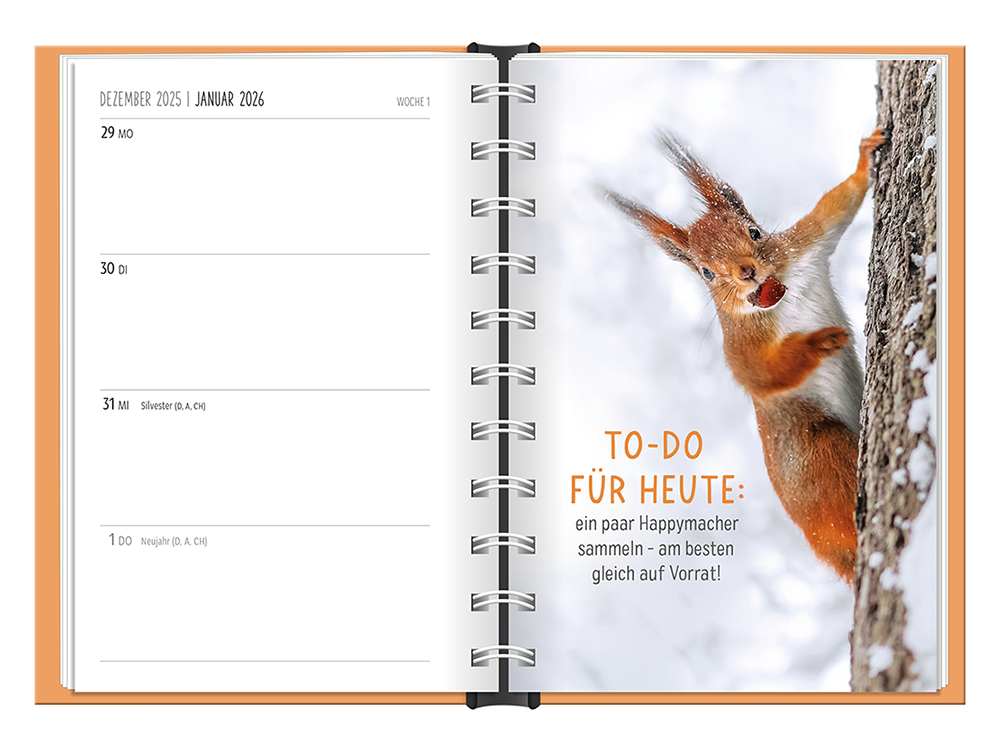 9783986361501_innenansicht_16.png