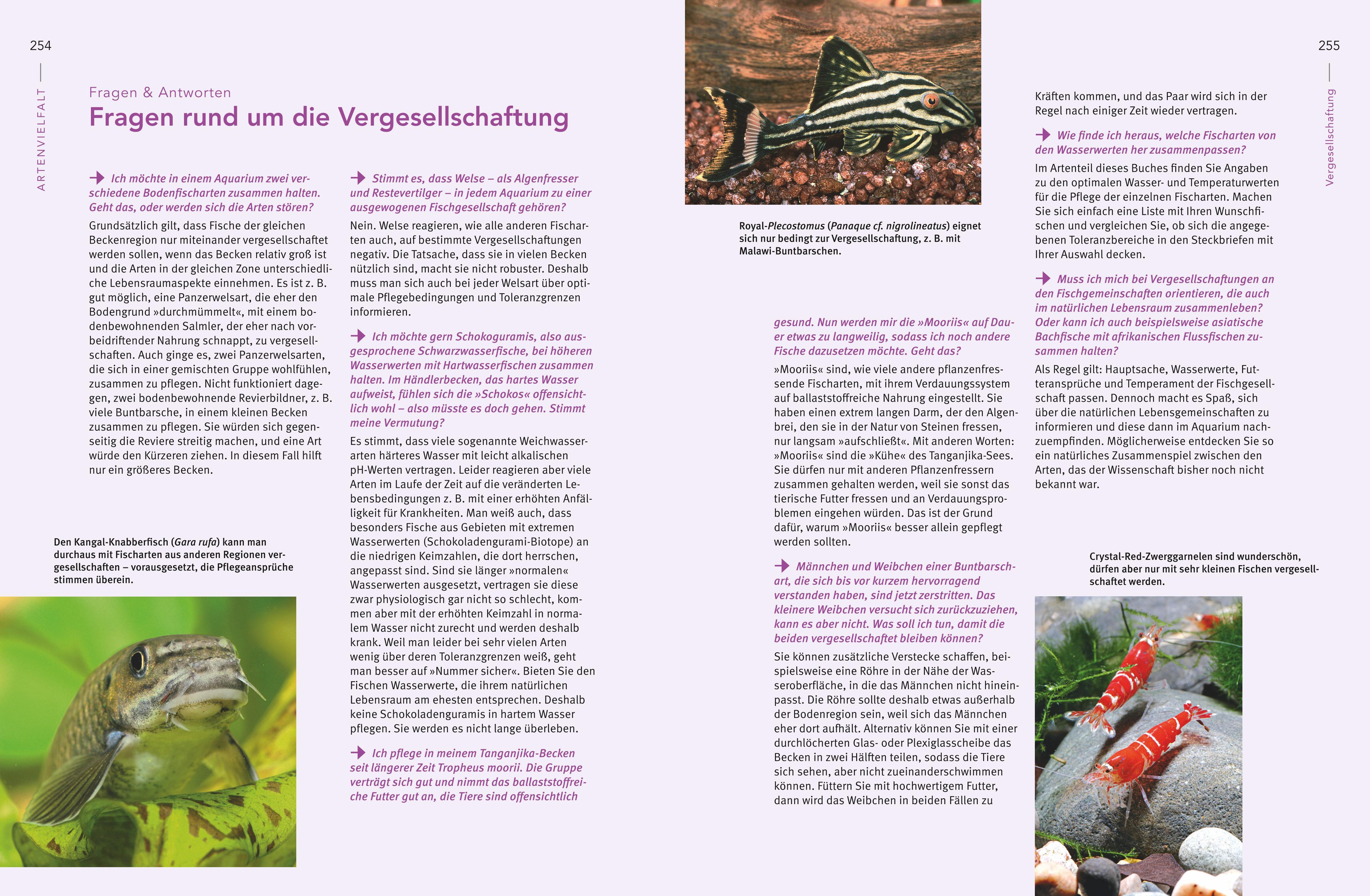9783833861390_innenansicht_10.jpg