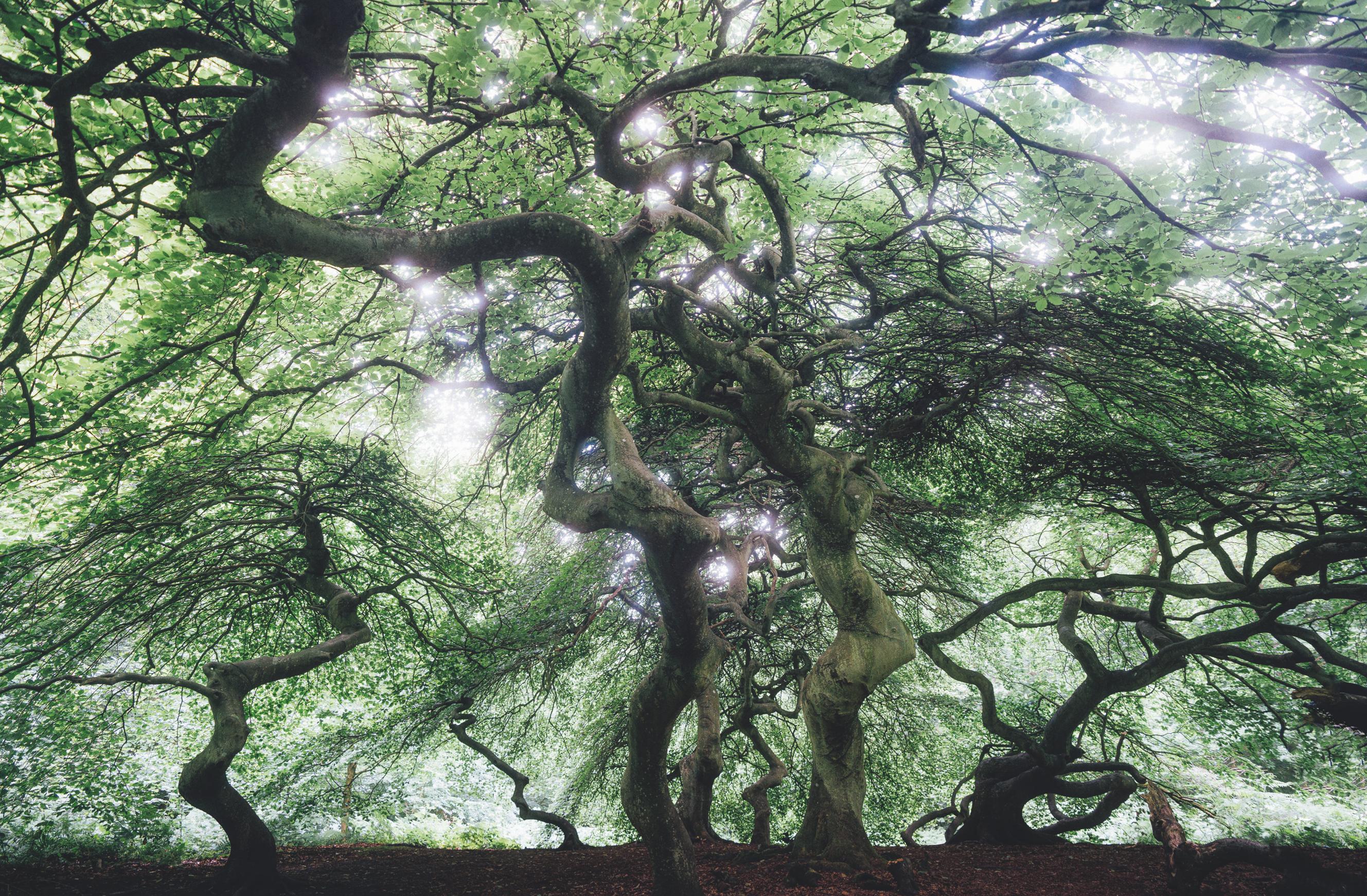 9783833887598_innenansicht_07 9783833887598_innenansicht_07.jpg