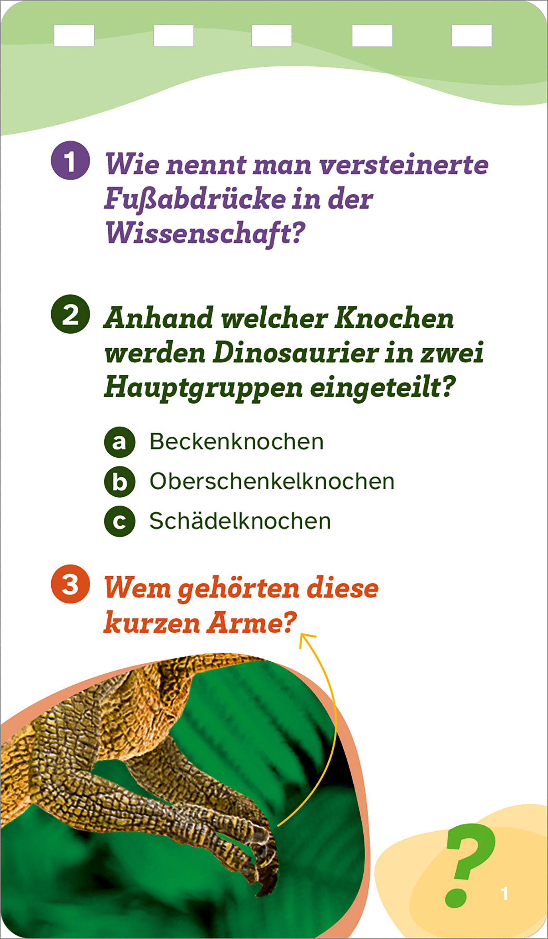 9783788677916_innenansicht_01.jpg