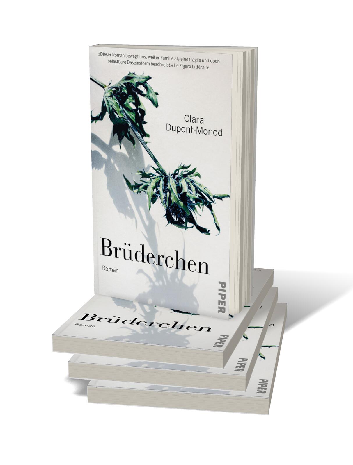 9783492320863_innenansicht_01.jpg