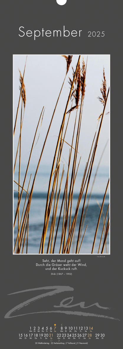 9783948276317_innenansicht_10 9783948276317_innenansicht_10.jpg