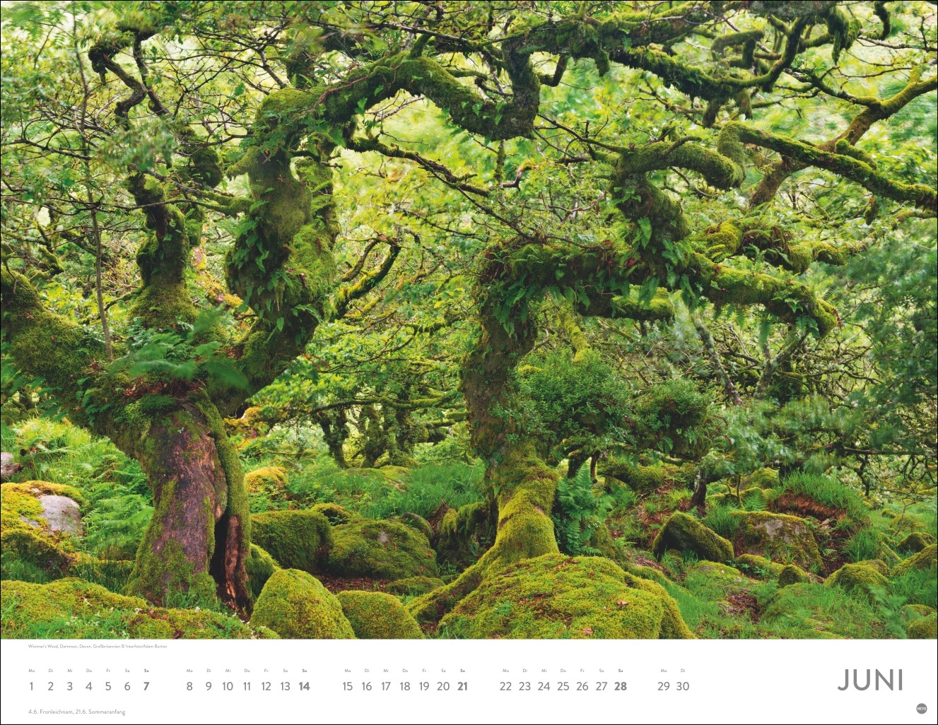 9783756413959_innenansicht_06 9783756413959_innenansicht_06.jpg