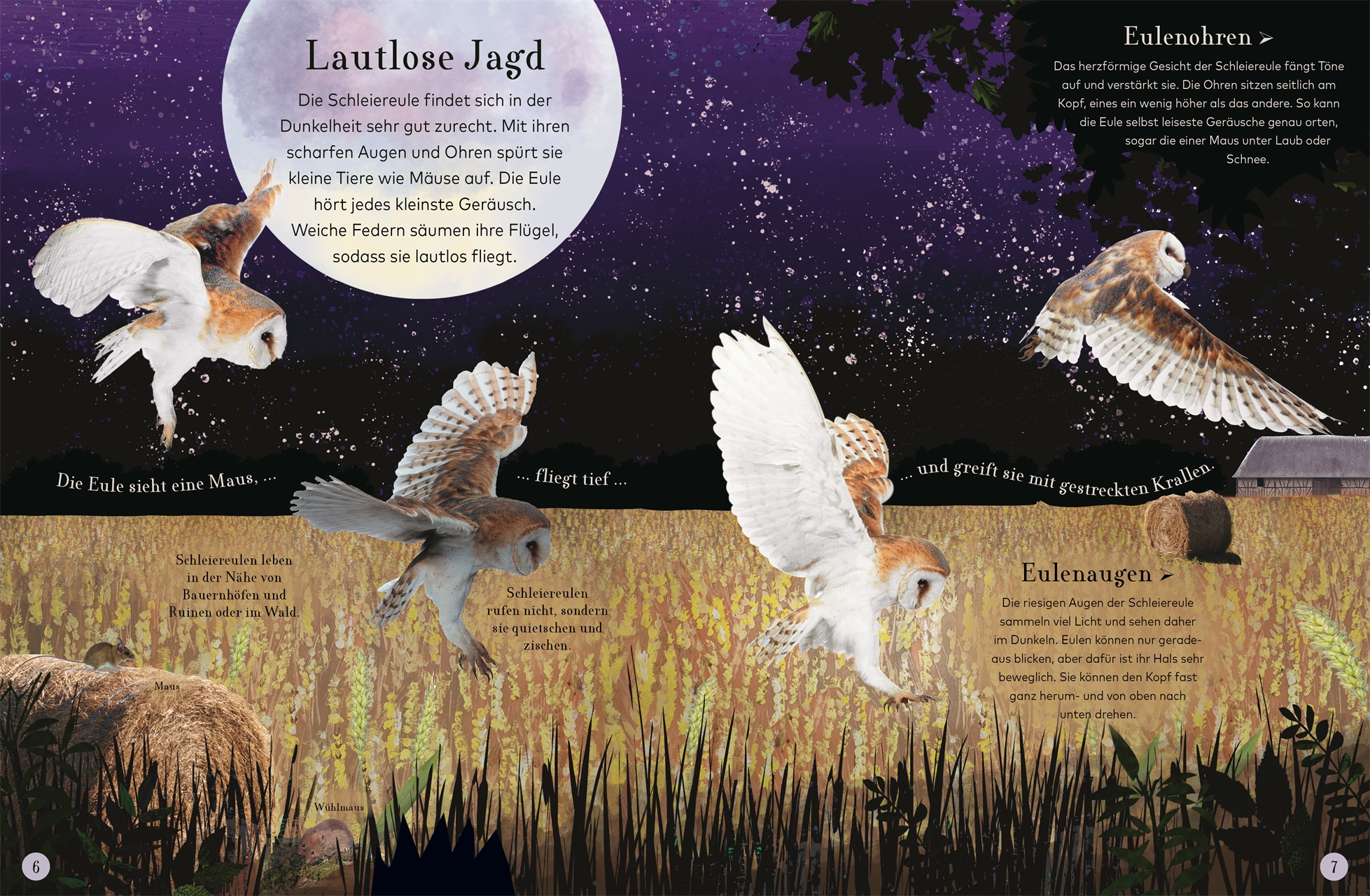 9783831041244_innenansicht_02 9783831041244_innenansicht_02.jpg