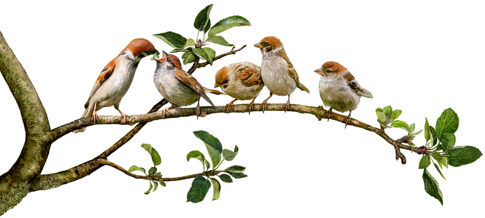 9783649637752_innenansicht_07 9783649637752_innenansicht_07.jpg