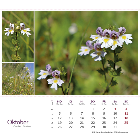 9783861925163_innenansicht_10 9783861925163_innenansicht_10.jpg