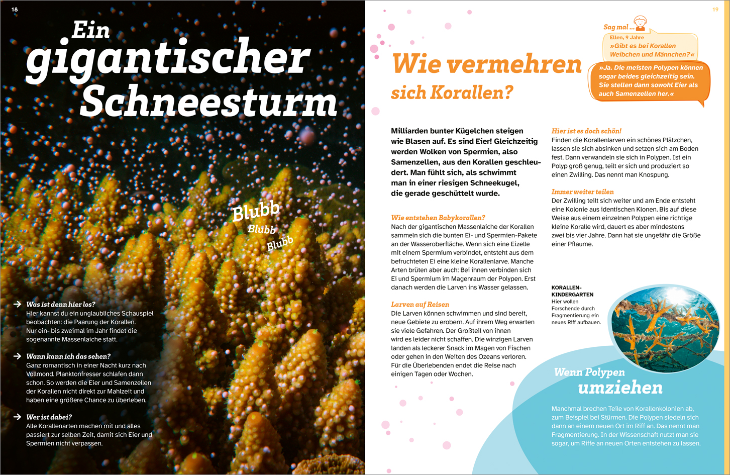 9783788677138_innenansicht_02 9783788677138_innenansicht_02.jpg