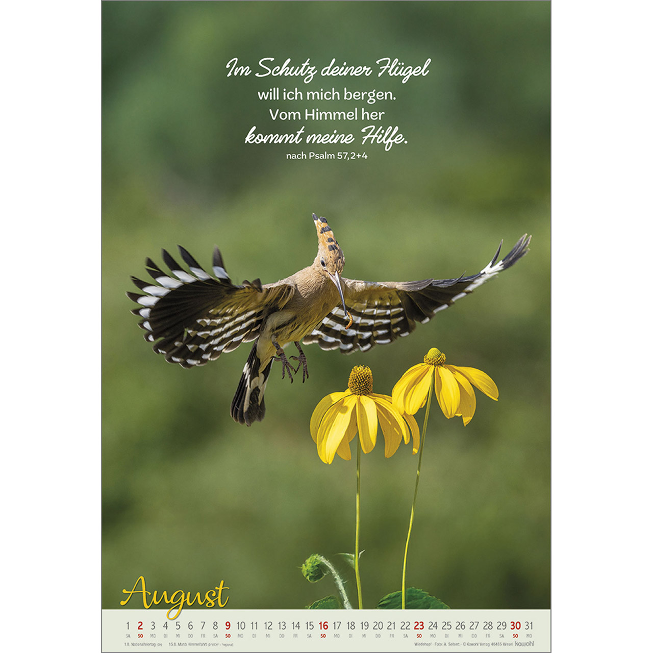 9783754804261_innenansicht_08 9783754804261_innenansicht_08.jpg