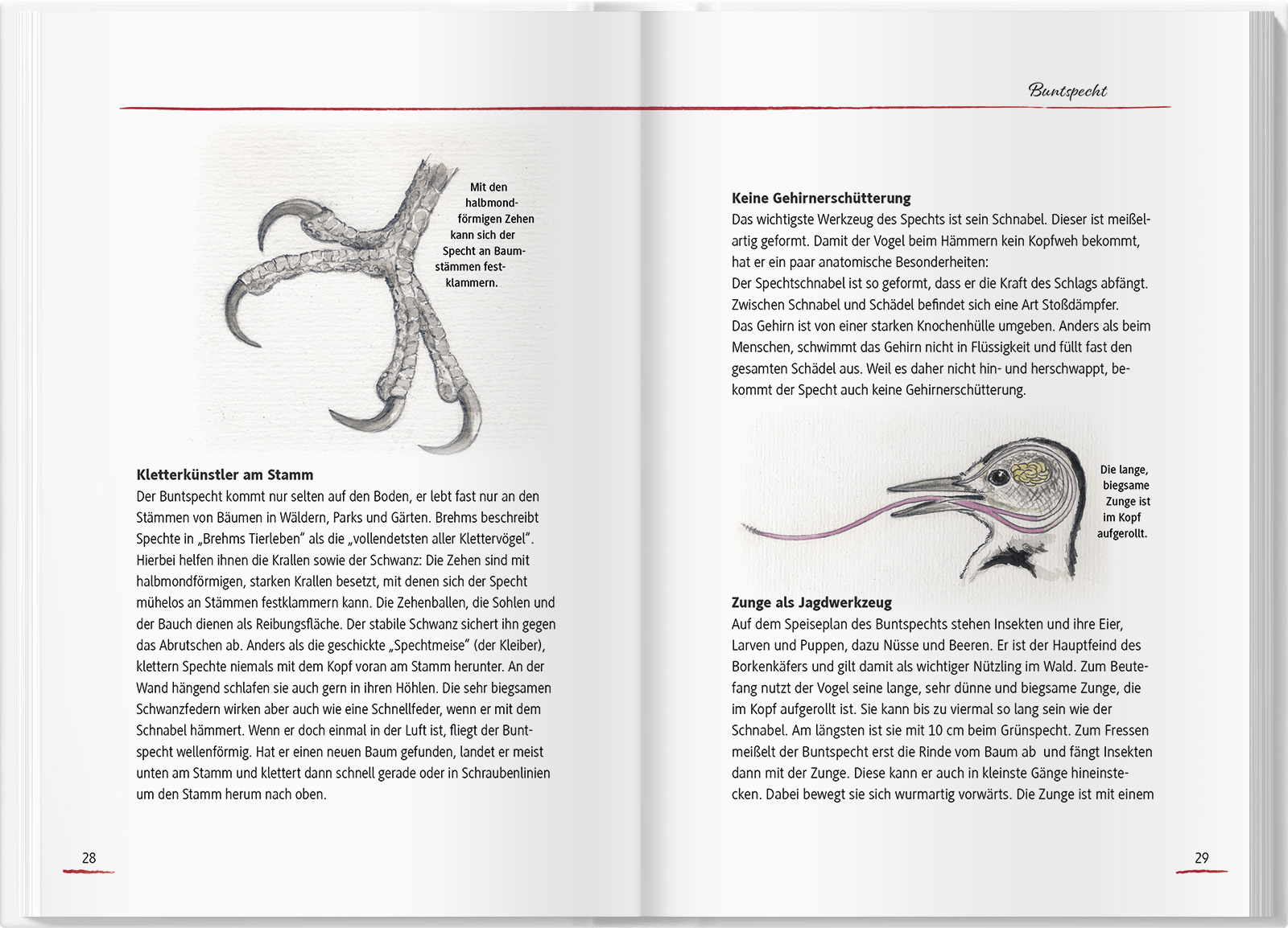 9783784357348_innenansicht_04 9783784357348_innenansicht_04.jpg