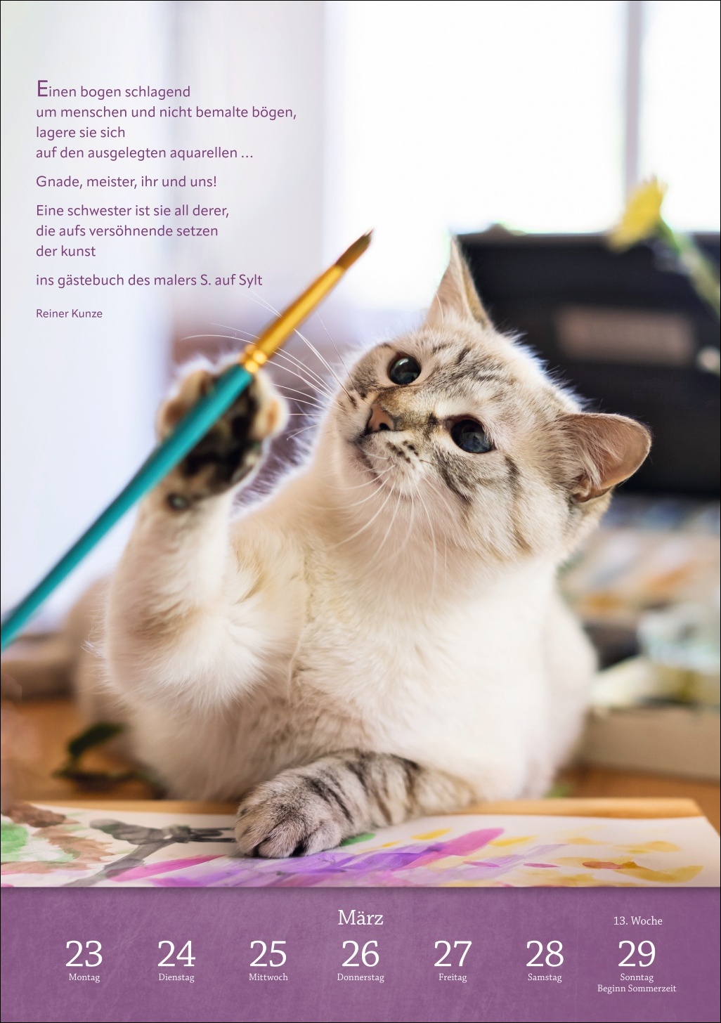 9783840036507_innenansicht_10 9783840036507_innenansicht_10.jpg