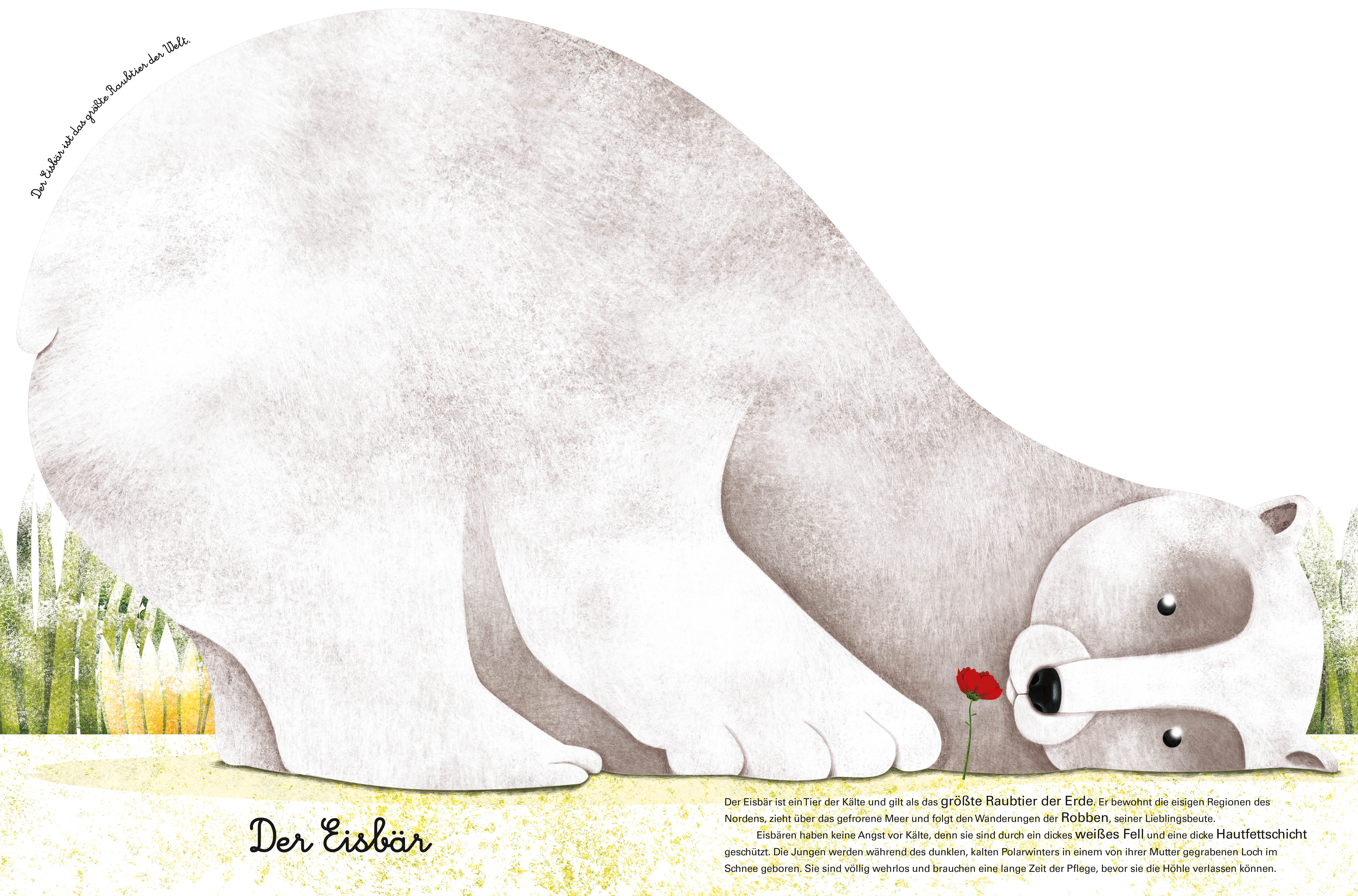 9788863125597_innenansicht_04 9788863125597_innenansicht_04.jpg