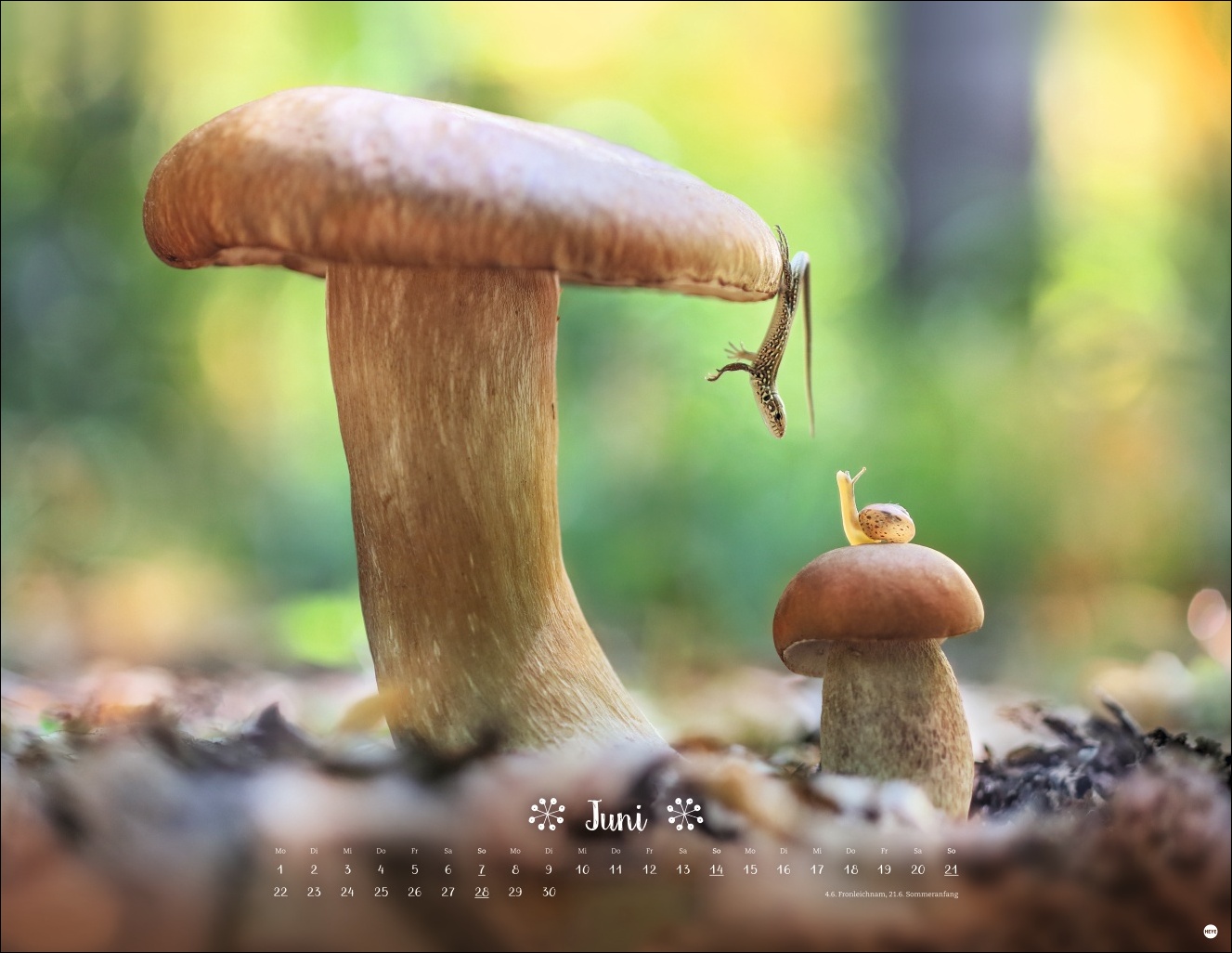 9783756411672_innenansicht_06 9783756411672_innenansicht_06.jpg