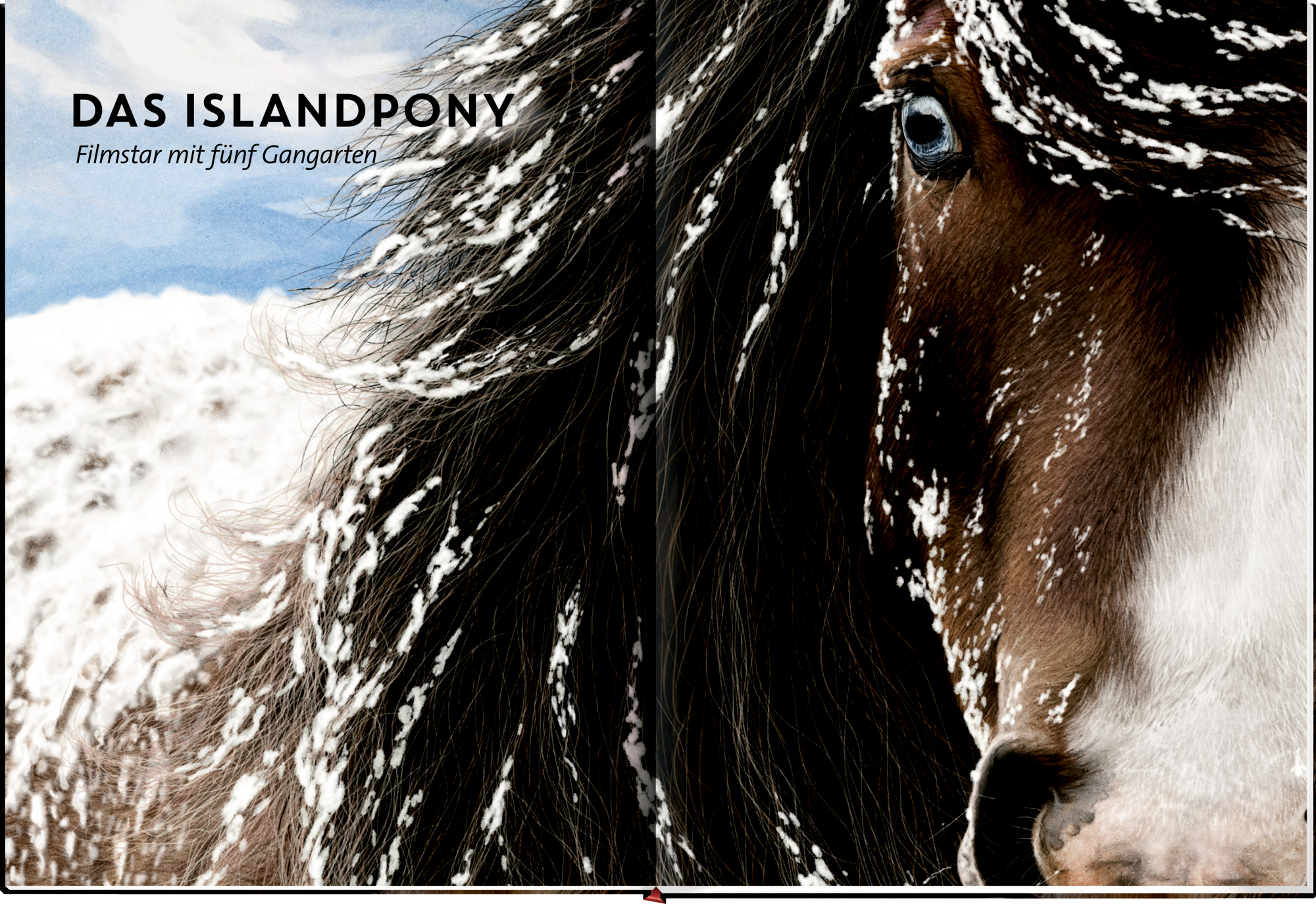 9783649646495_innenansicht_01 9783649646495_innenansicht_01.jpg