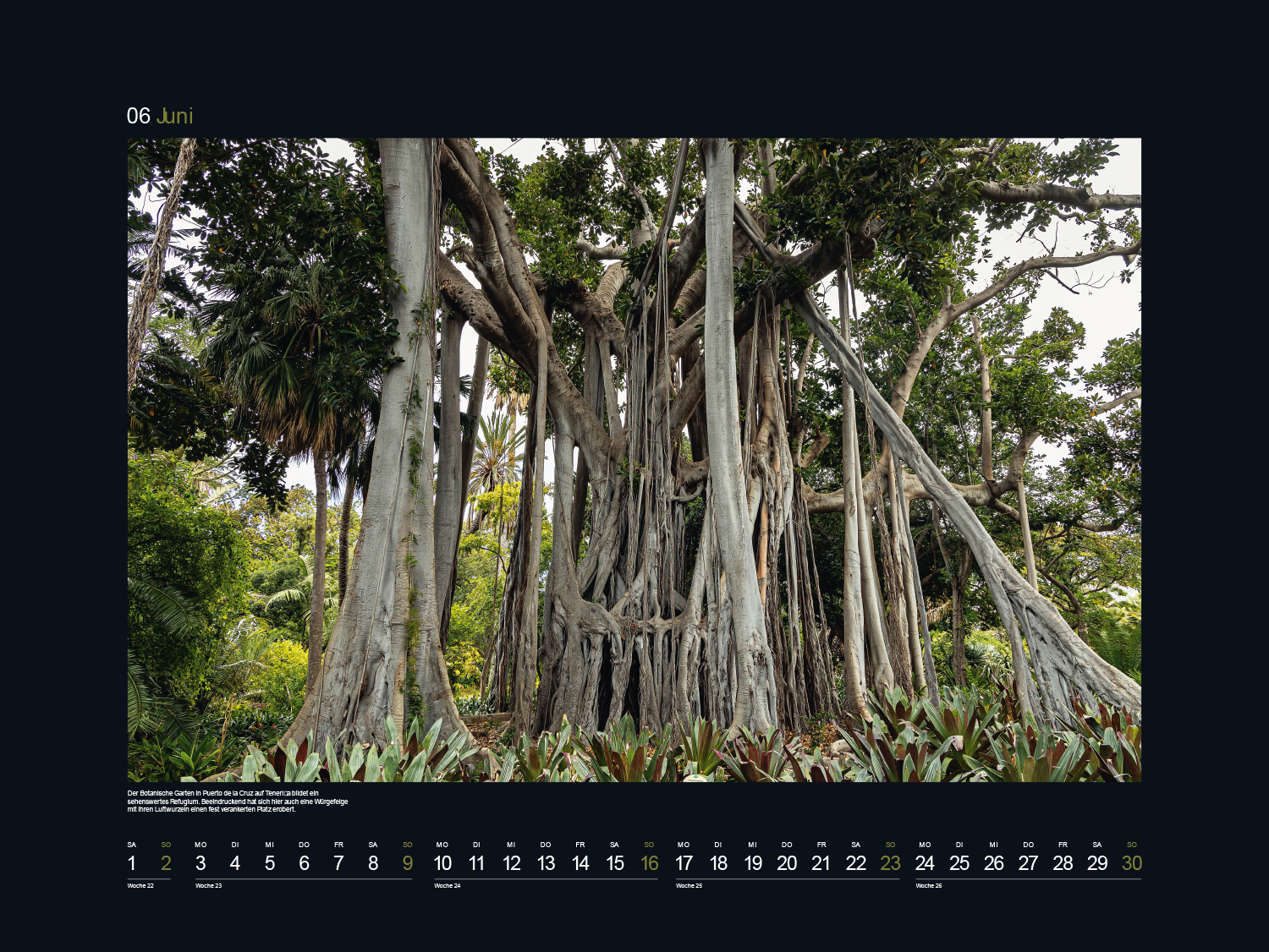 9783965912496_innenansicht_07 9783965912496_innenansicht_07.jpg