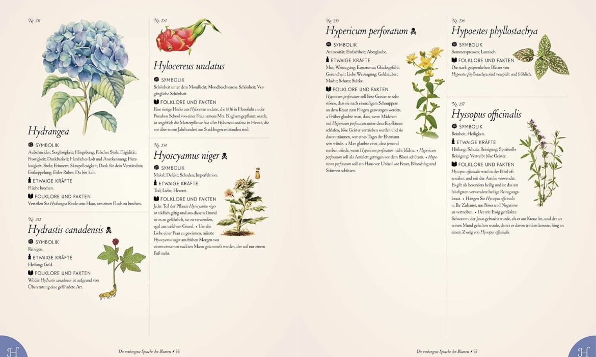 9789464990782_innenansicht_02 9789464990782_innenansicht_02.jpg