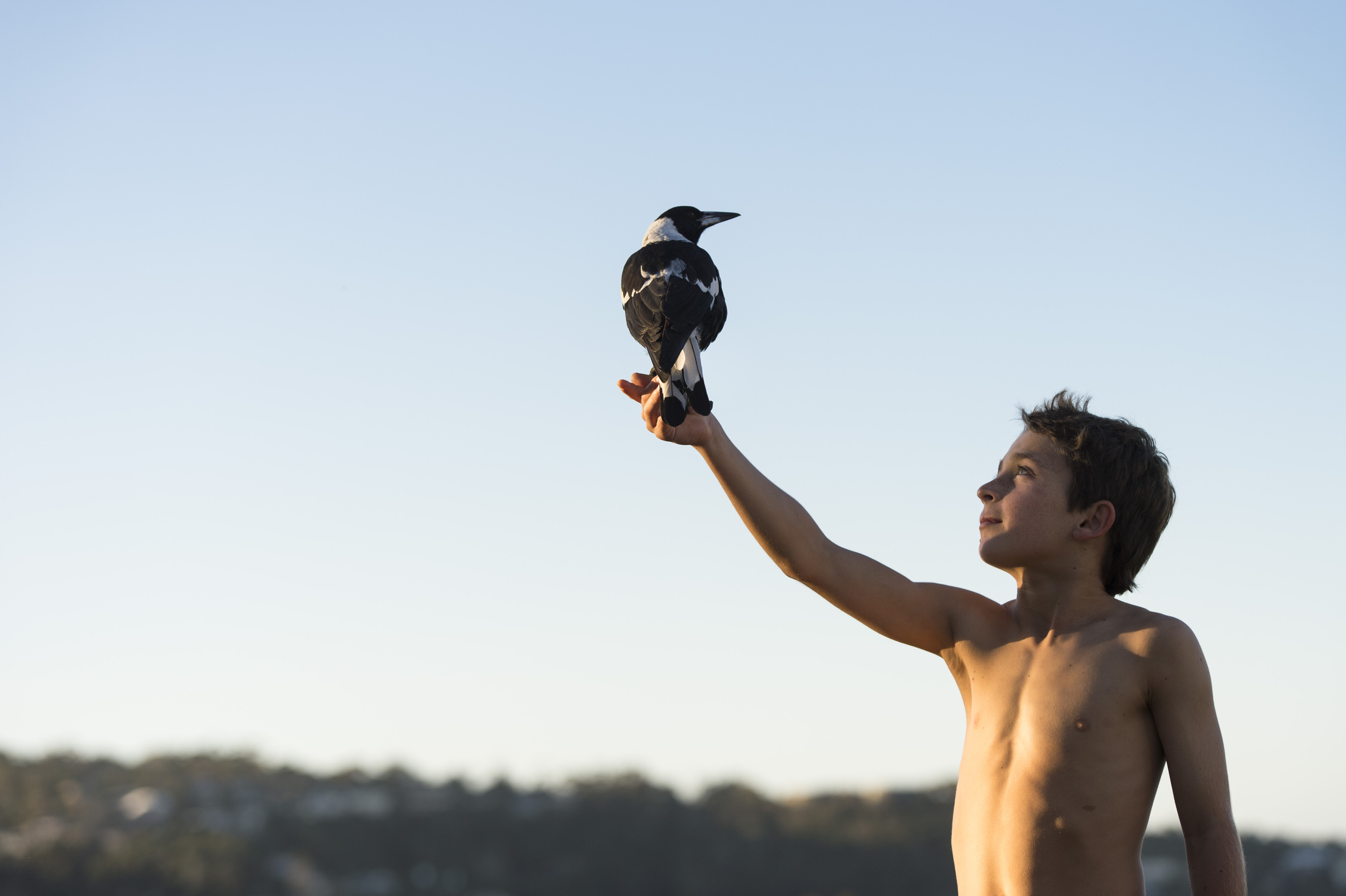 9783328103653_innenansicht_02.jpg 9783328103653_innenansicht_02.jpg