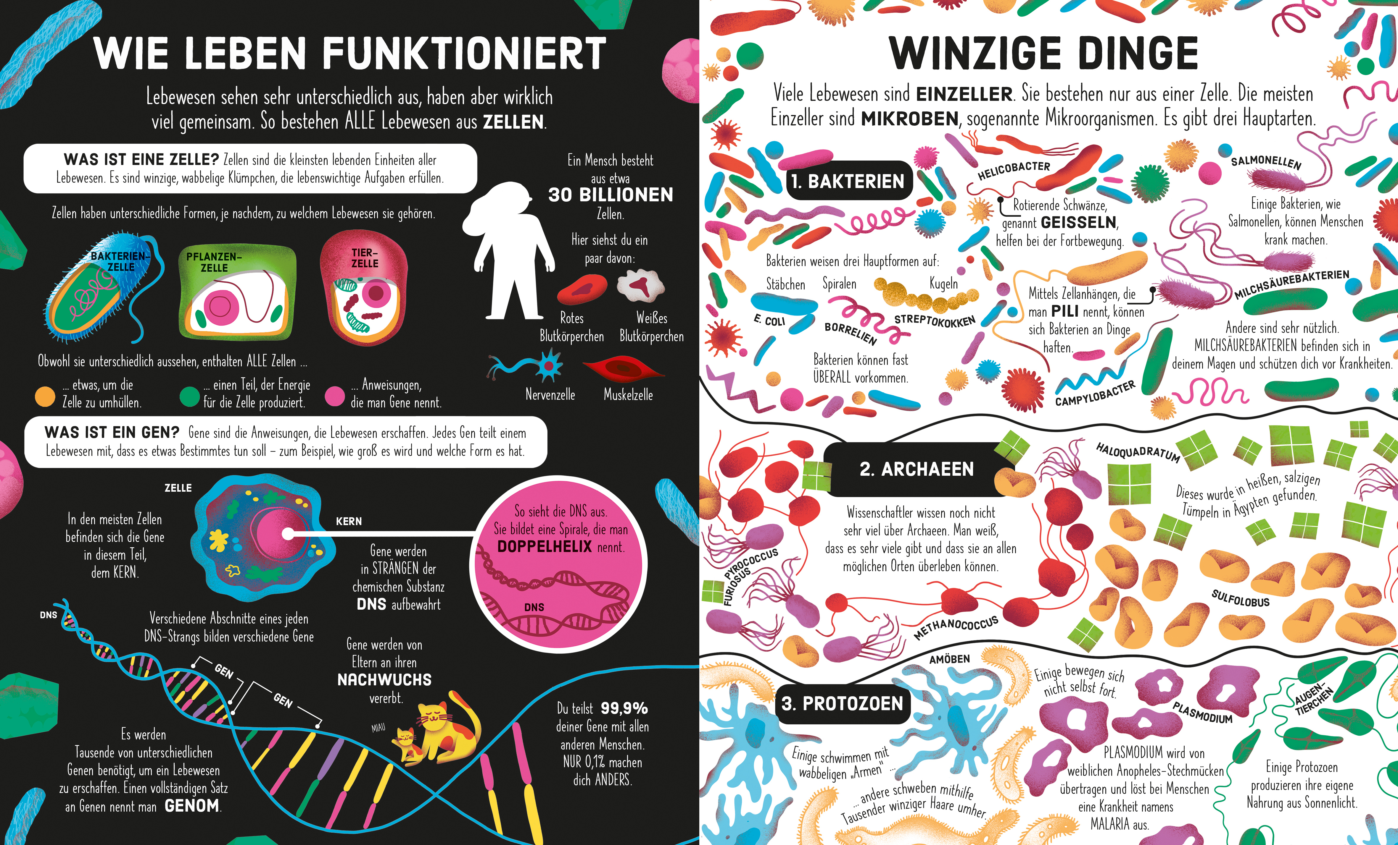 9781789417906_innenansicht_01.jpg