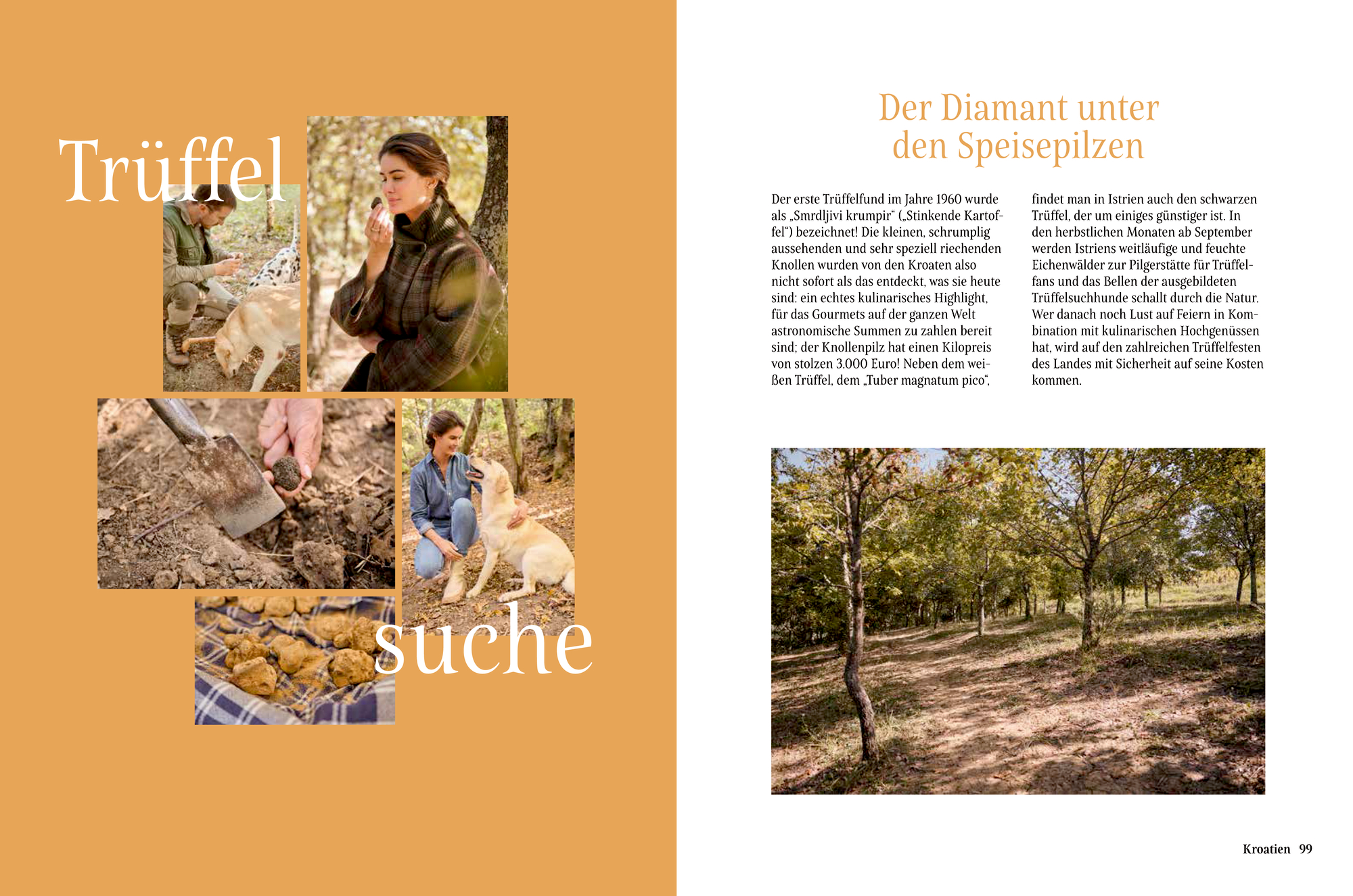 9783756710386_innenansicht_10 9783756710386_innenansicht_10.jpg