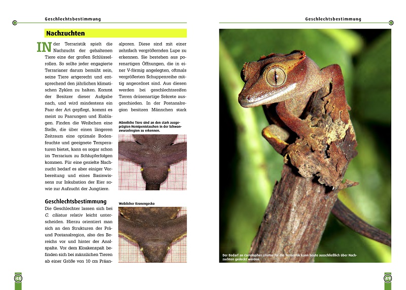 9783937285771_innenansicht_03 9783937285771_innenansicht_03.jpg