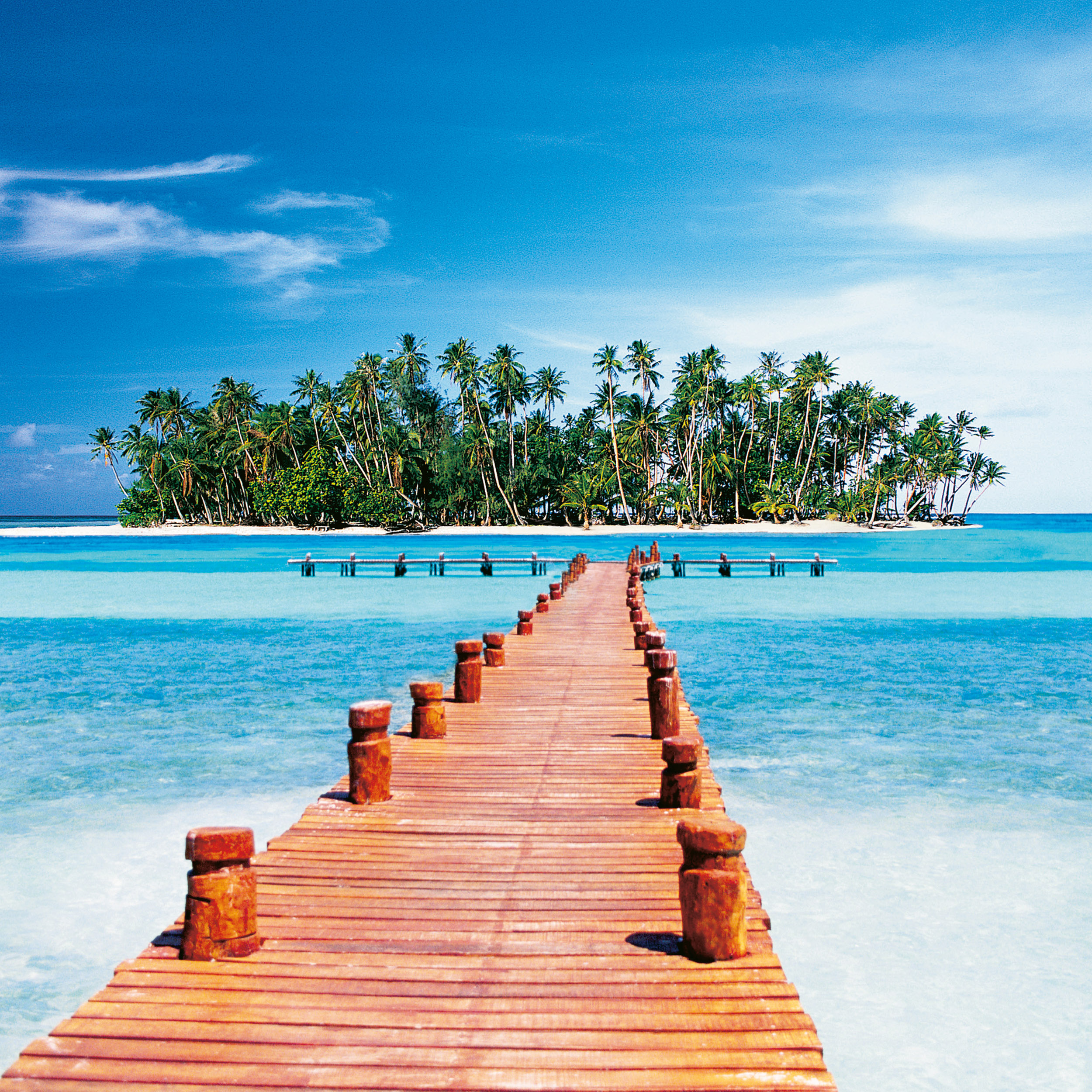 9783959295819_innenansicht_04 9783959295819_innenansicht_04.jpg