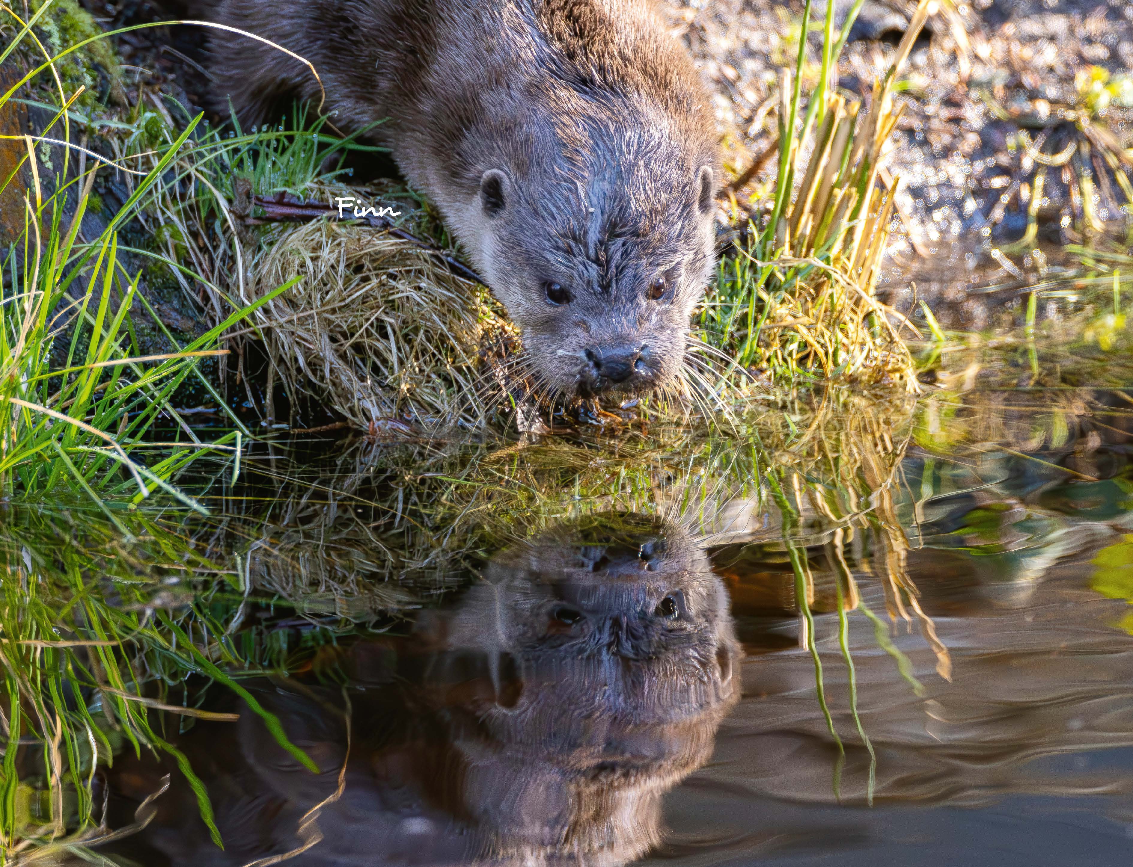 9783966649964_innenansicht_19 9783966649964_innenansicht_19.jpg