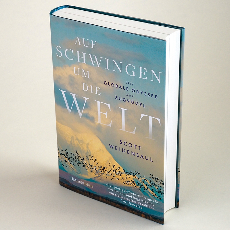 9783446273122_innenansicht_01.jpg