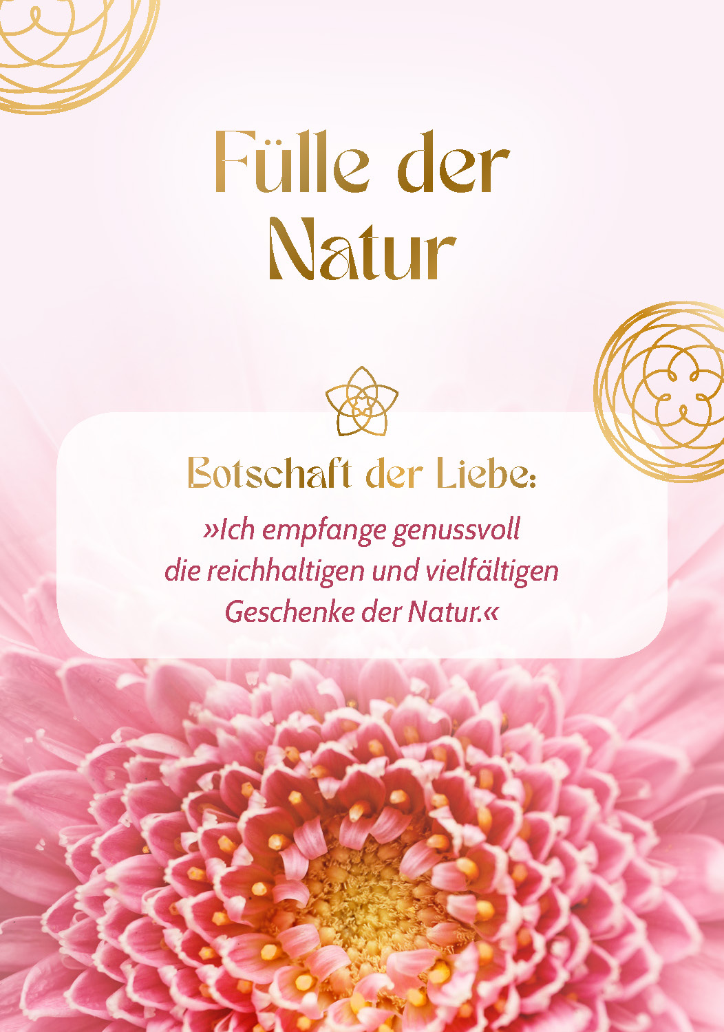 9783843492614_innenansicht_05.jpg