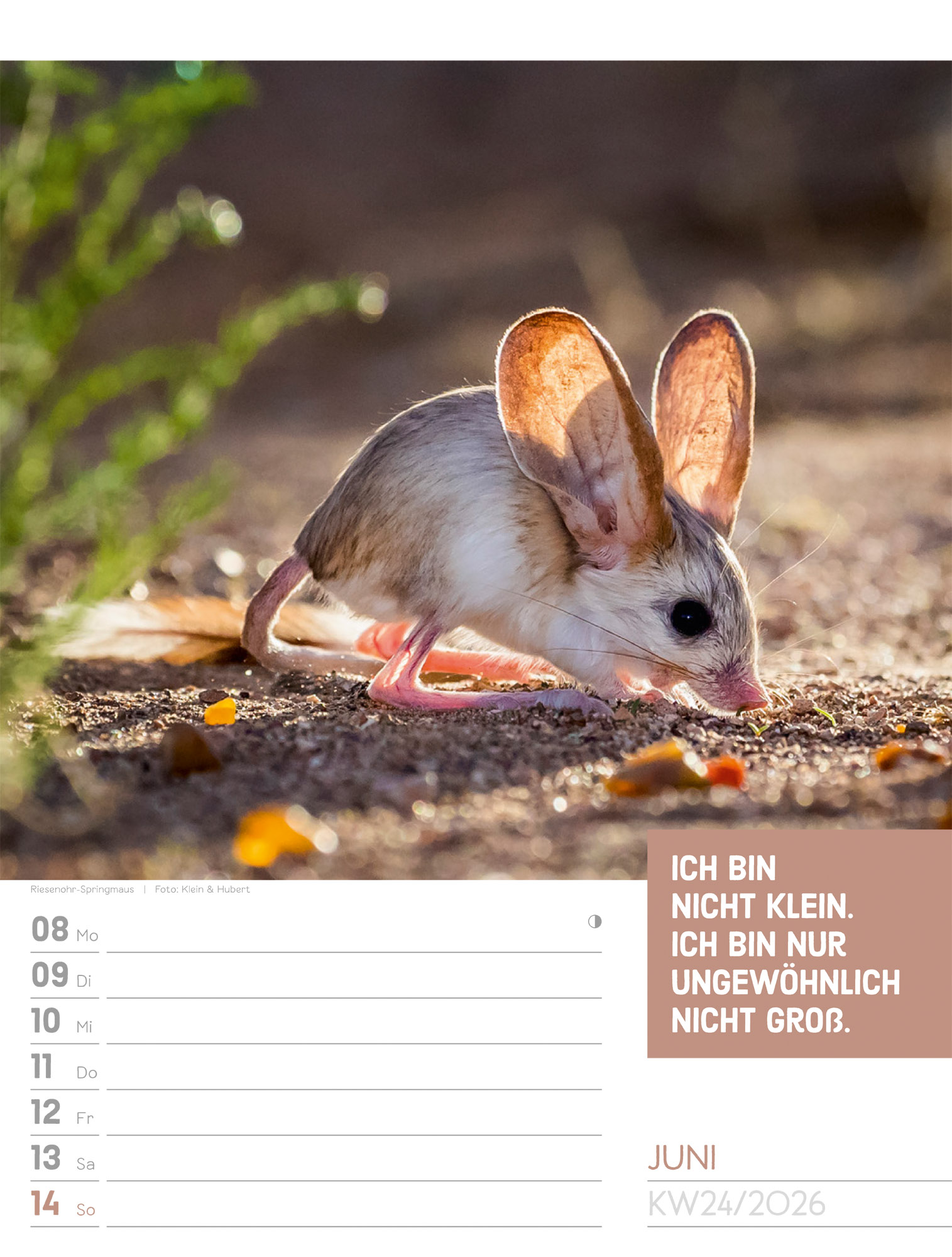 9783838426969_innenansicht_27.jpg