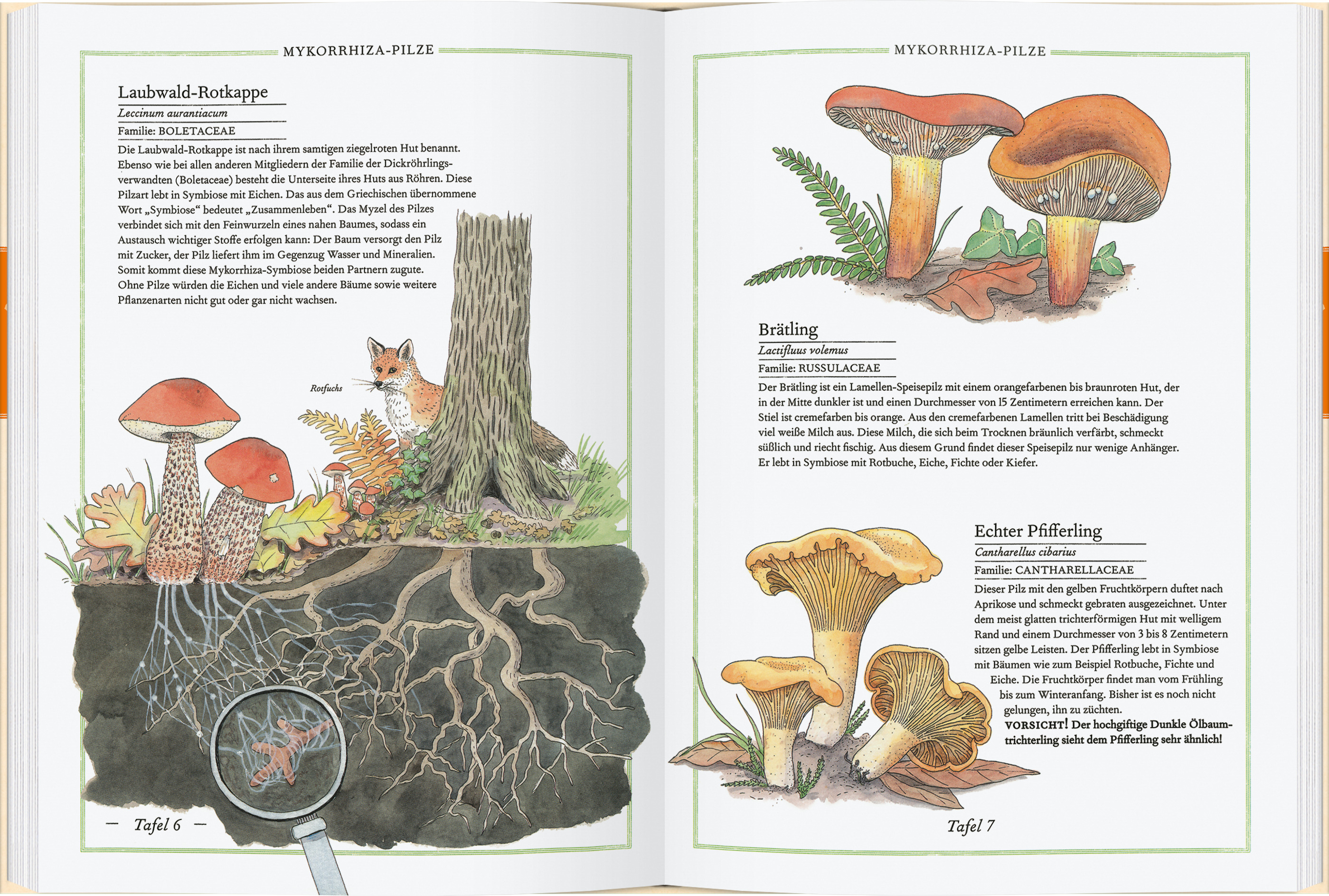 9783836963589_innenansicht_01 9783836963589_innenansicht_01.jpg