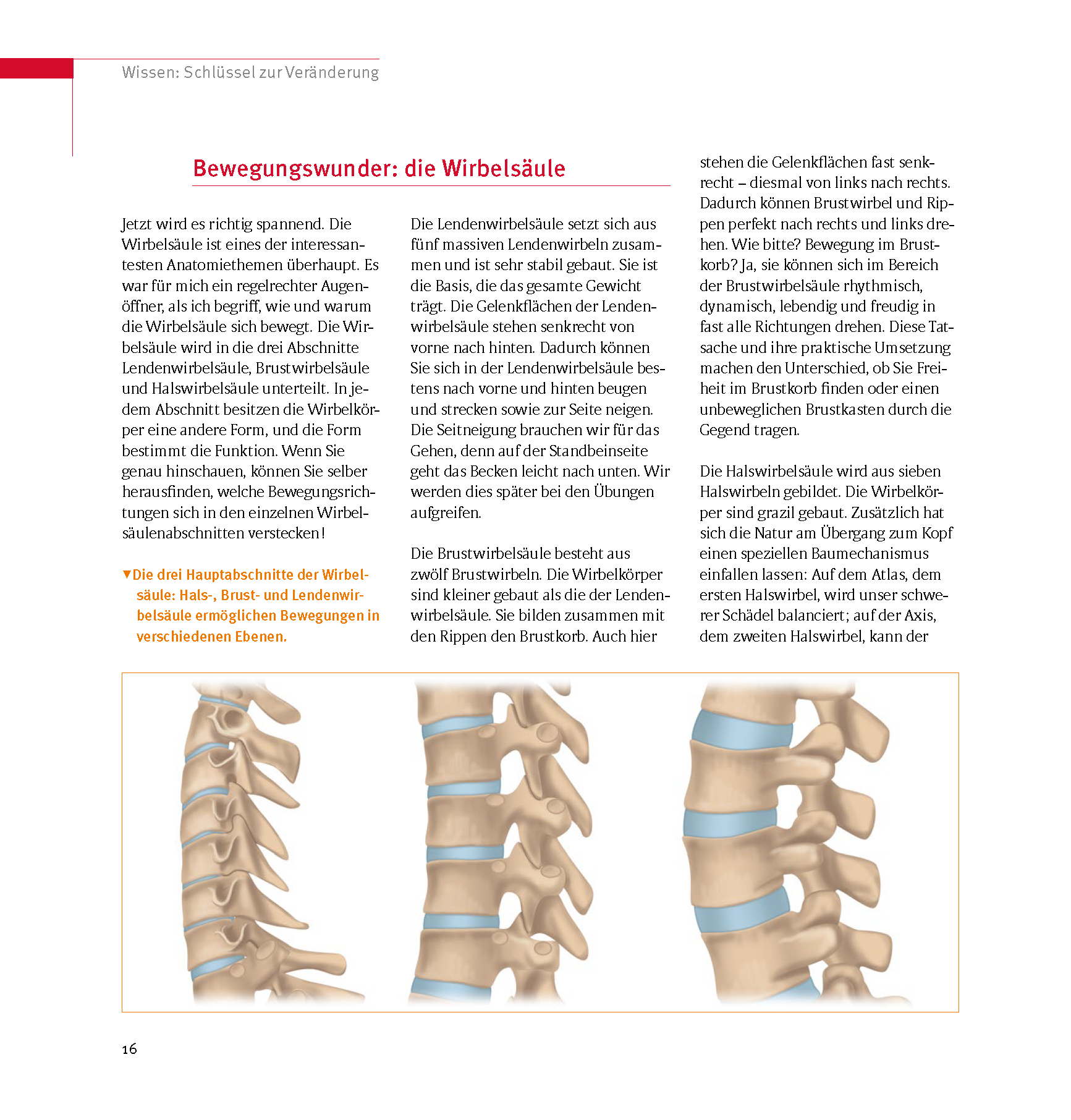 9783432120034_innenansicht_15 9783432120034_innenansicht_15.png