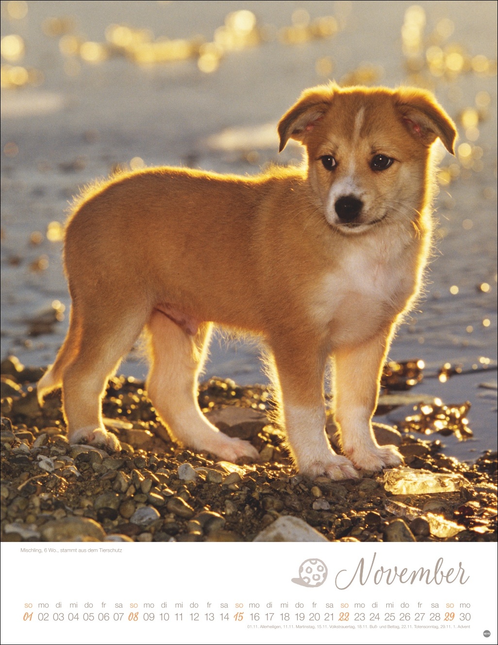 9783756410811_innenansicht_11 9783756410811_innenansicht_11.jpg